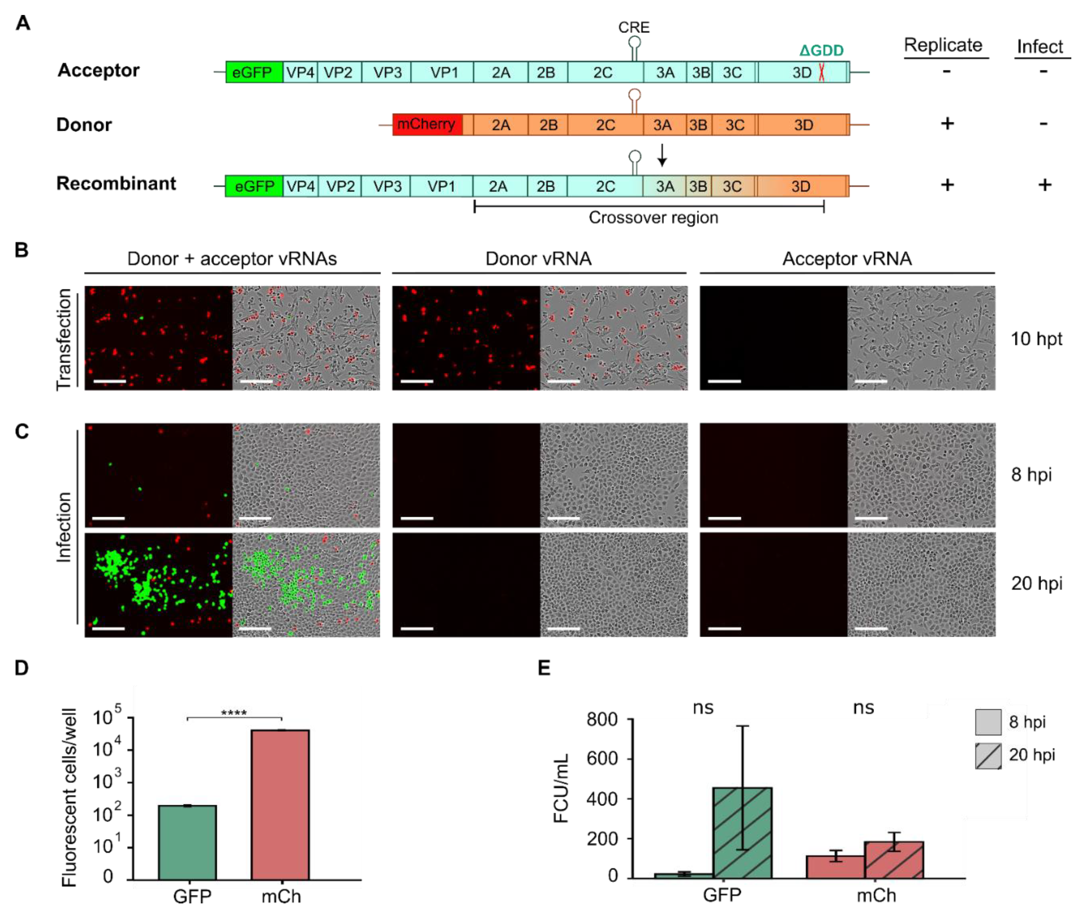 Preprints 158121 g005