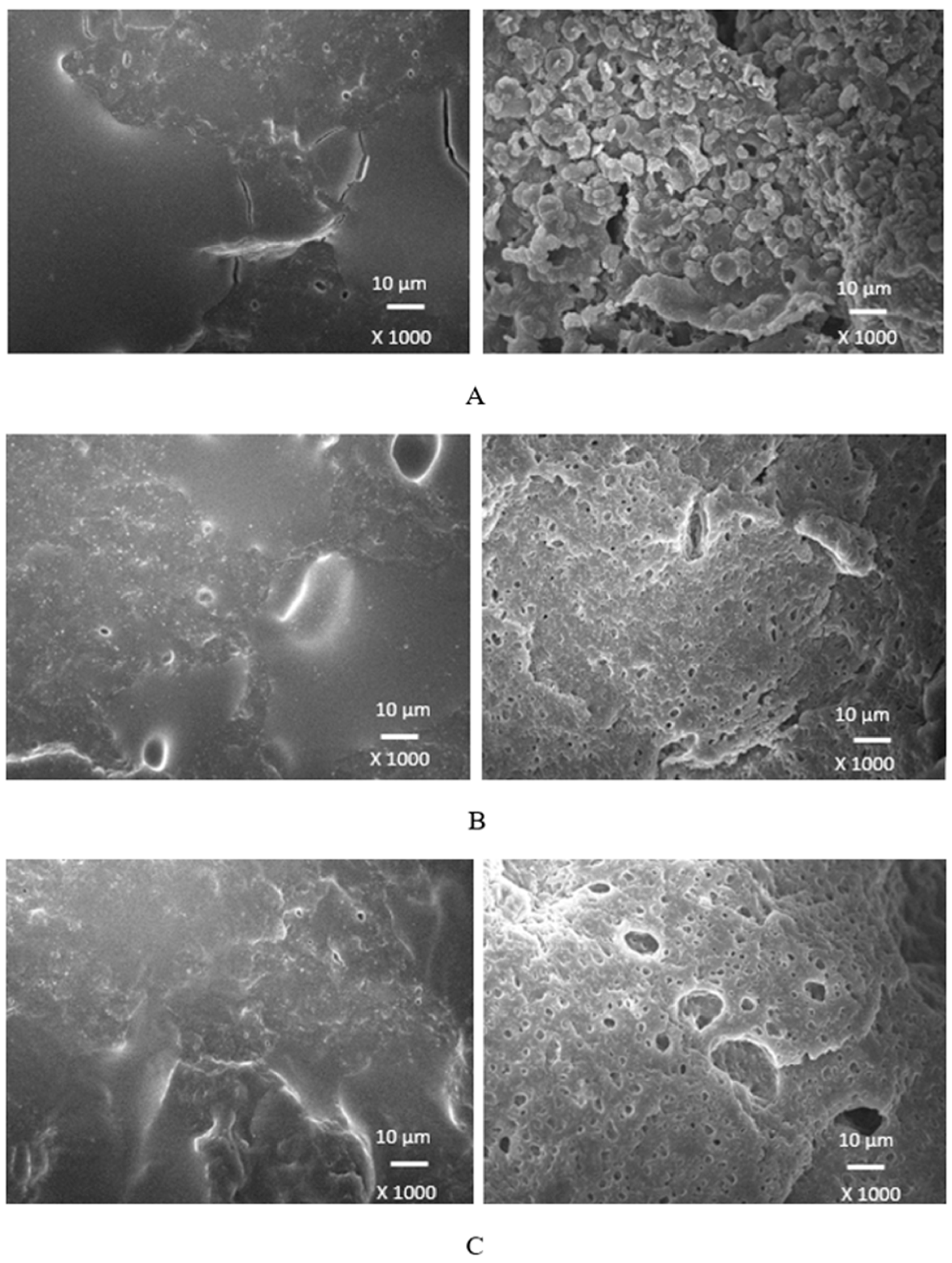 Preprints 142308 g021