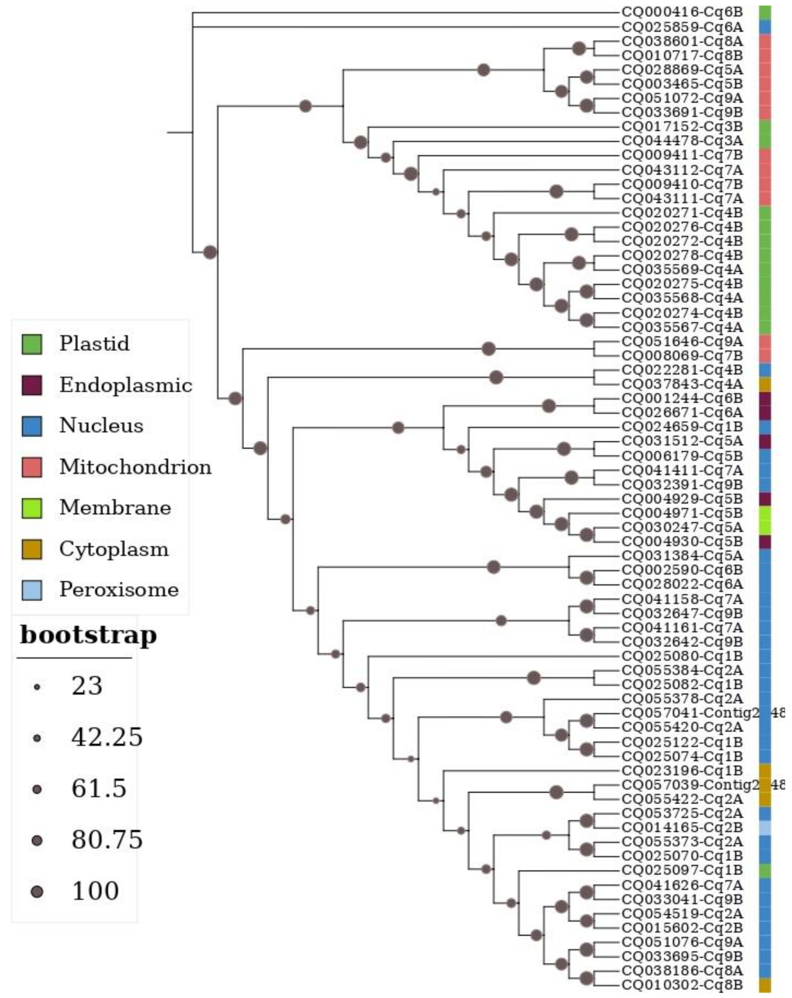 Preprints 210857 g001 Preprints 210857 g001