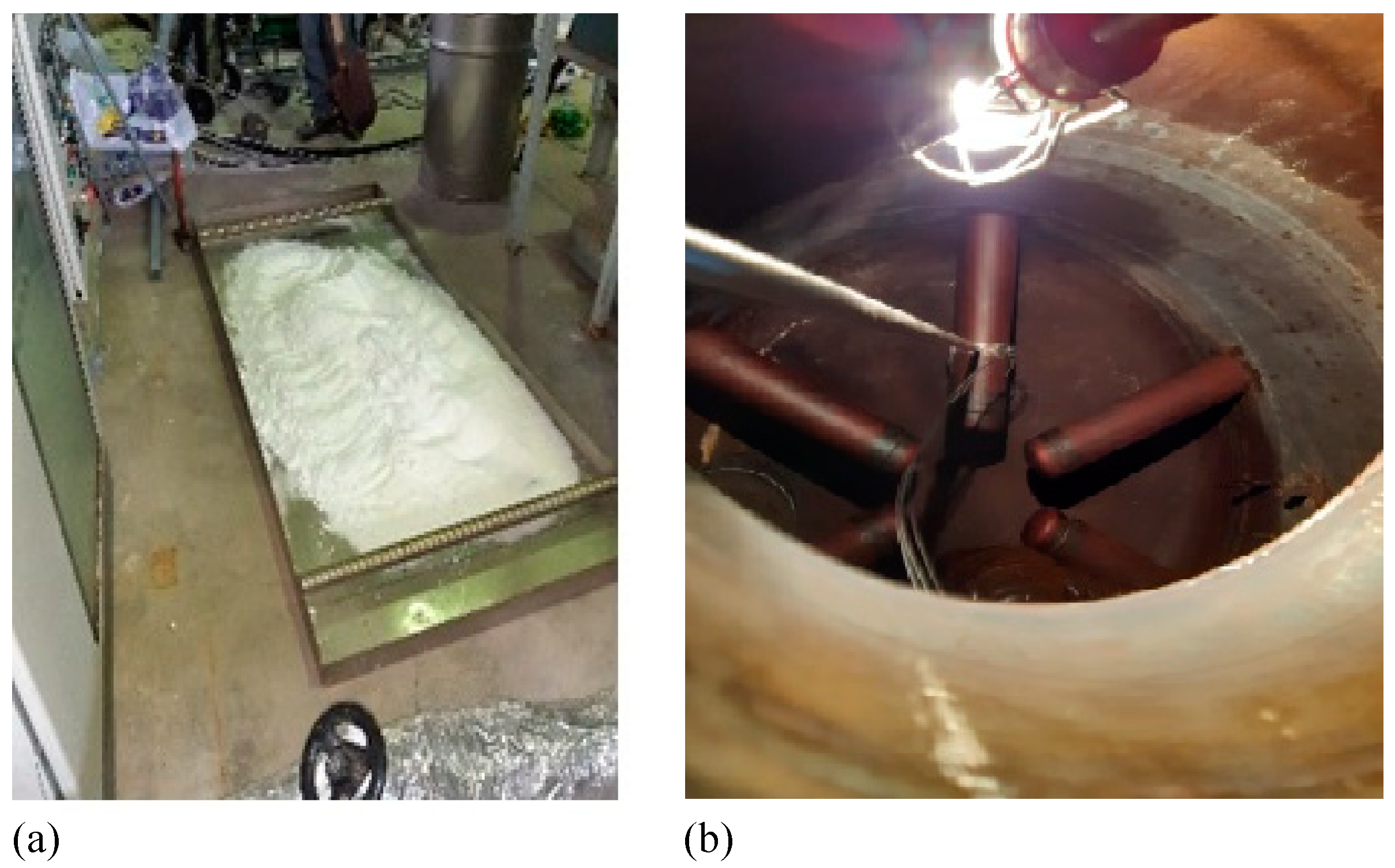 Preprints 144765 g004