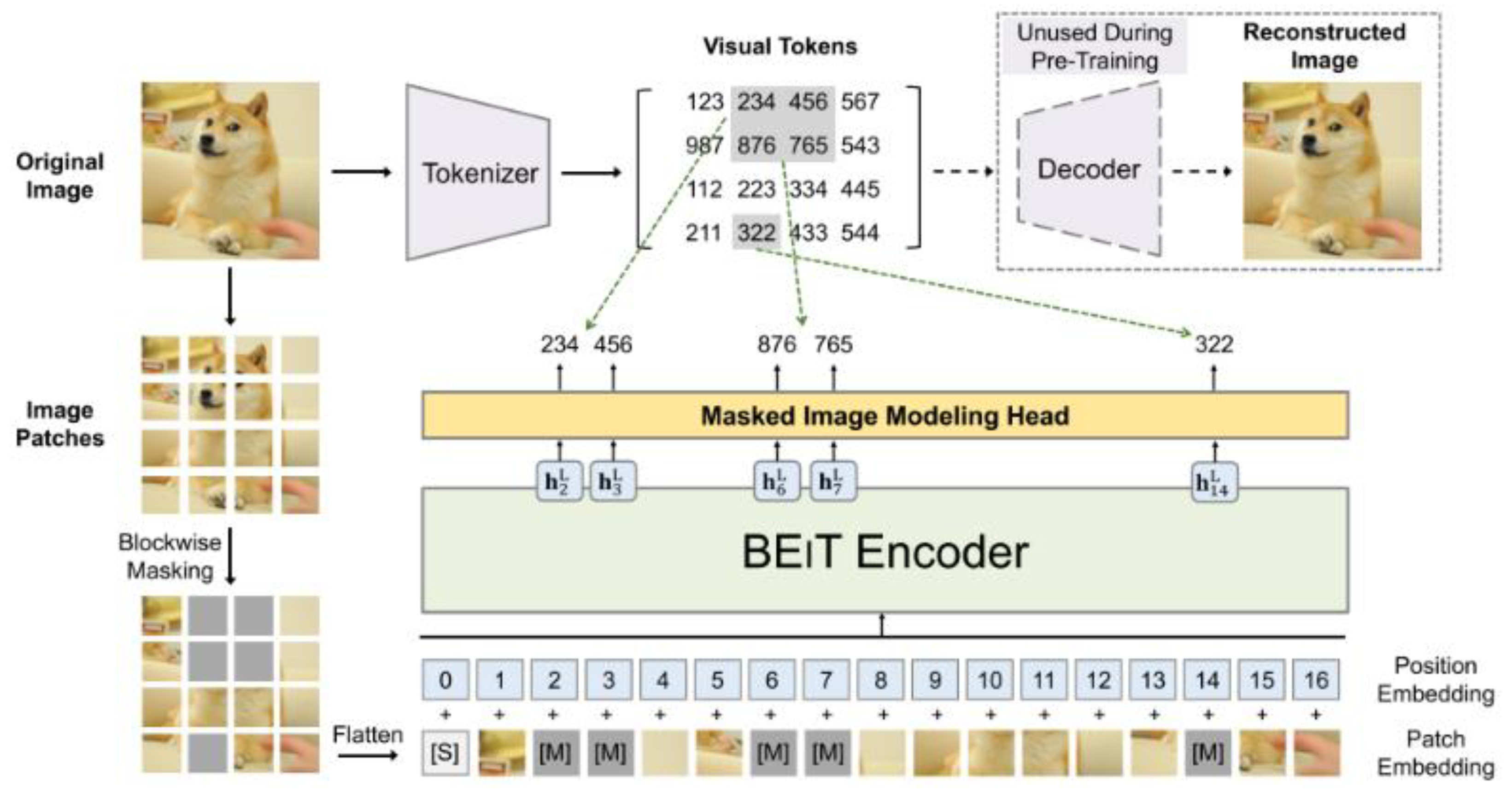 Preprints 140388 g003