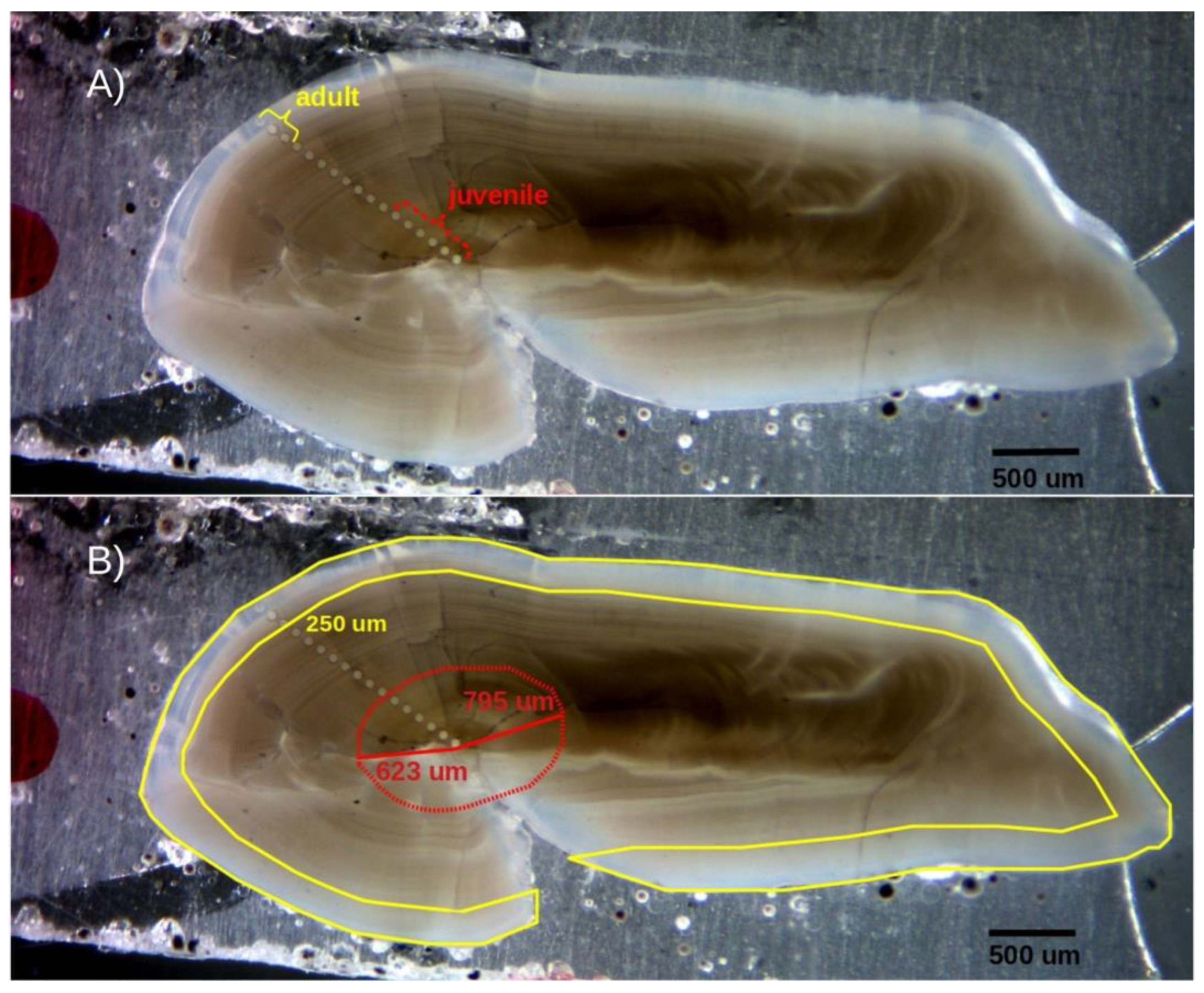 Preprints 140745 g002