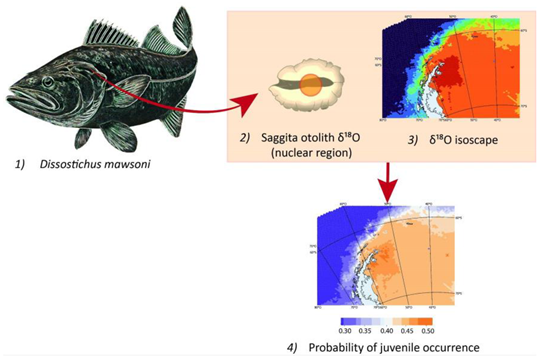Preprints 140745 i001