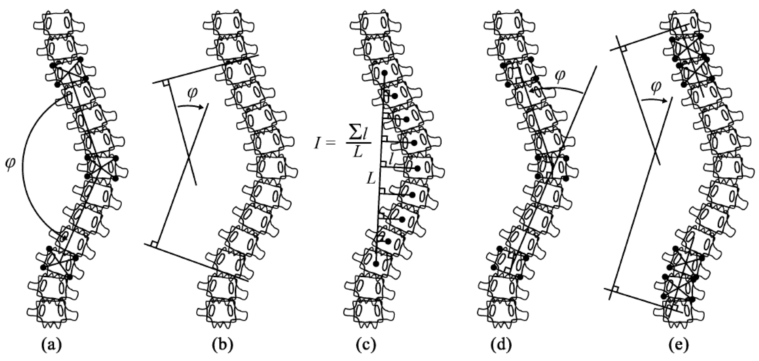 Preprints 152195 g002