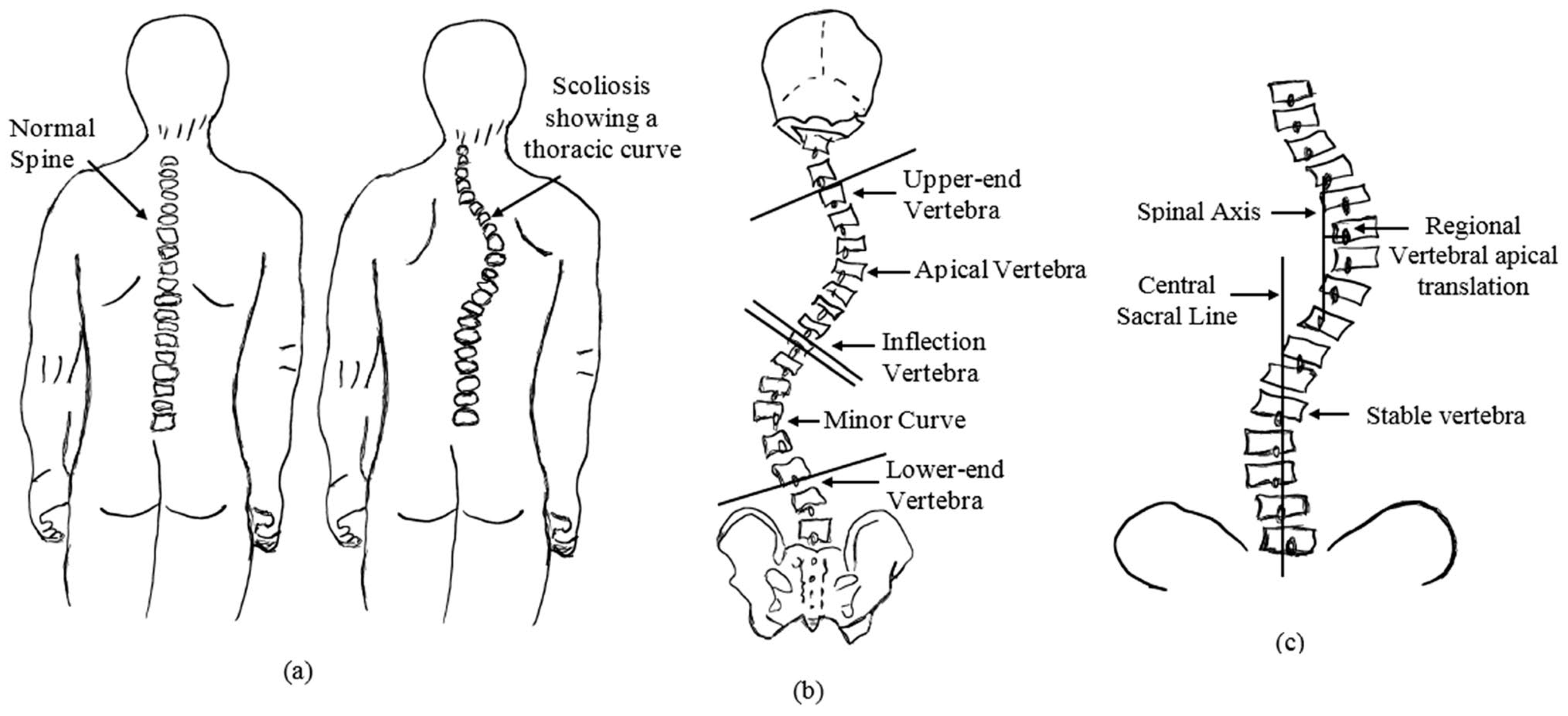 Preprints 152195 g003