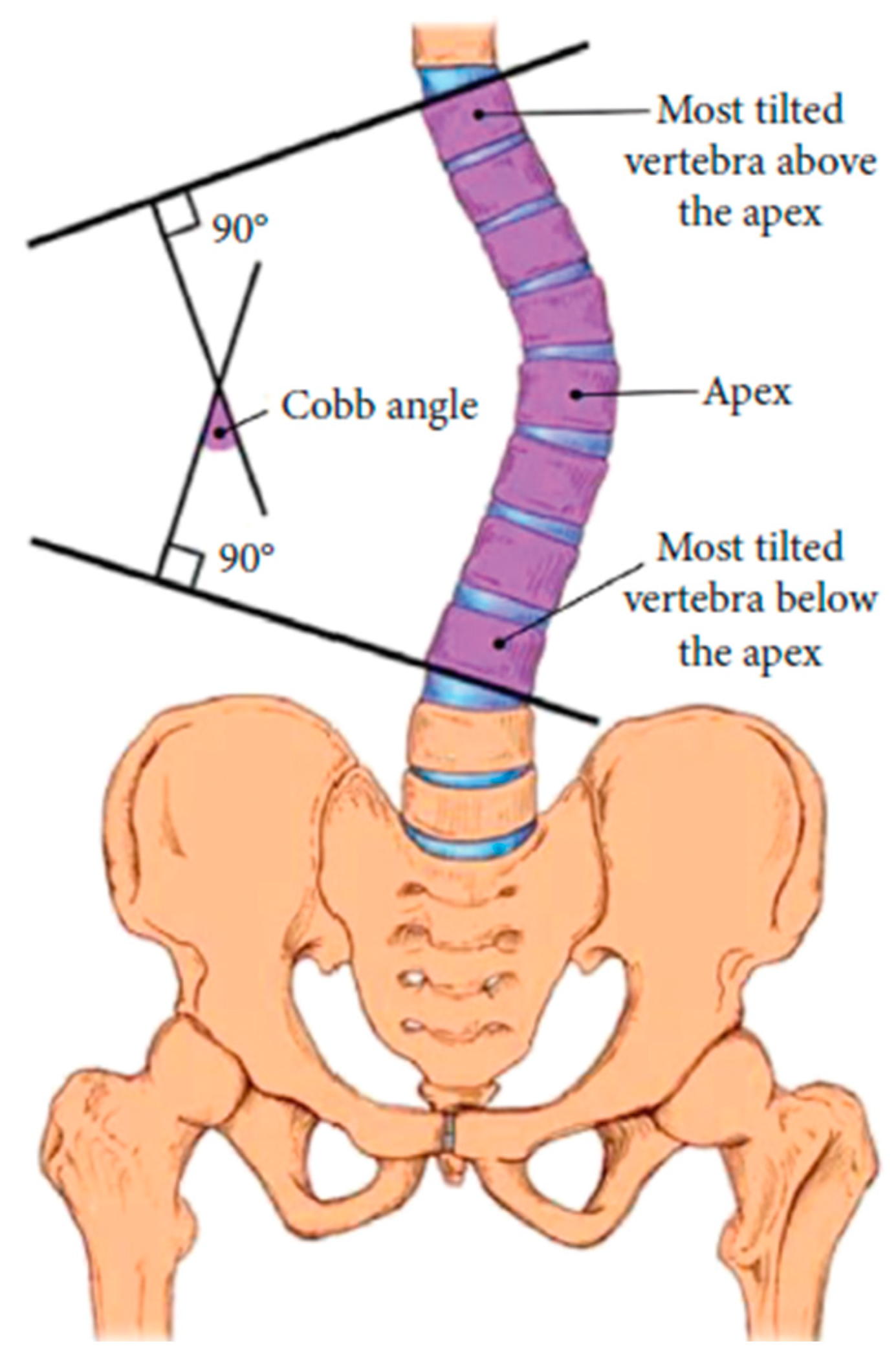 Preprints 152195 g004