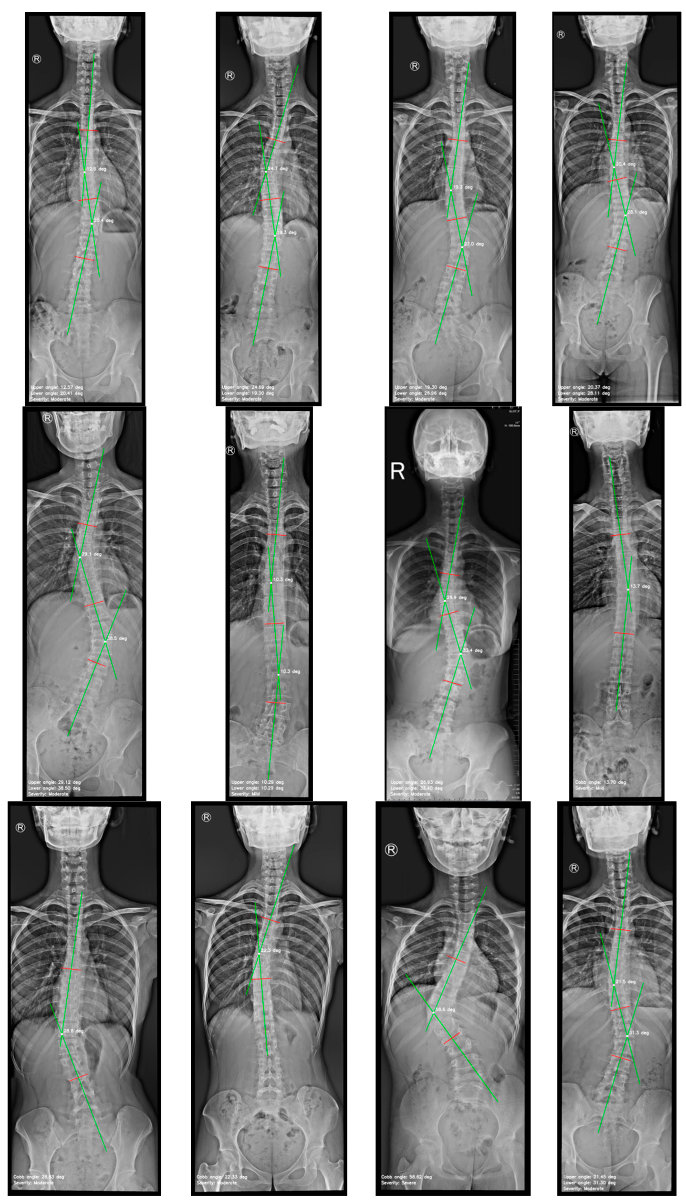 Preprints 152195 g009a