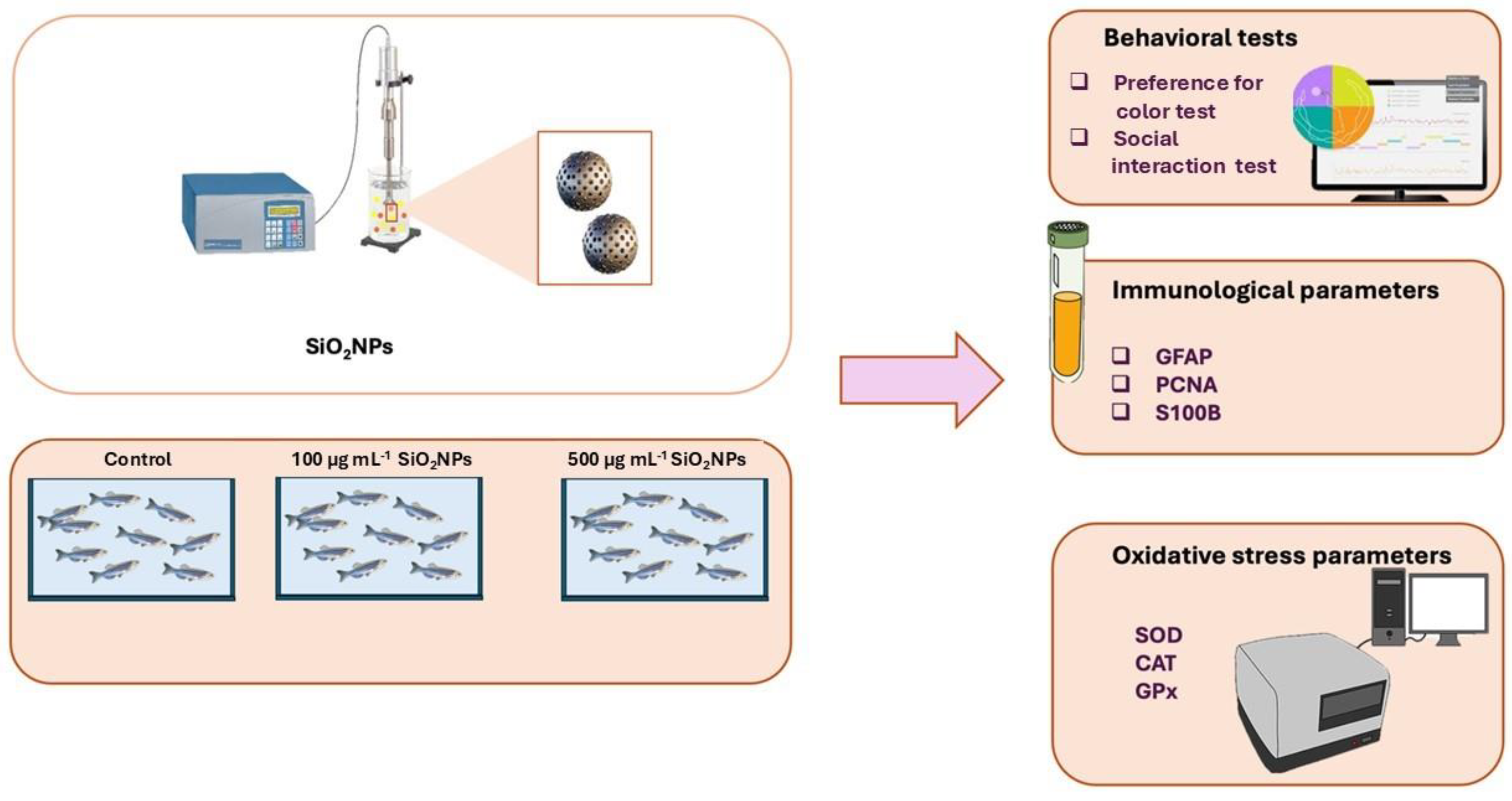 Preprints 168838 g001