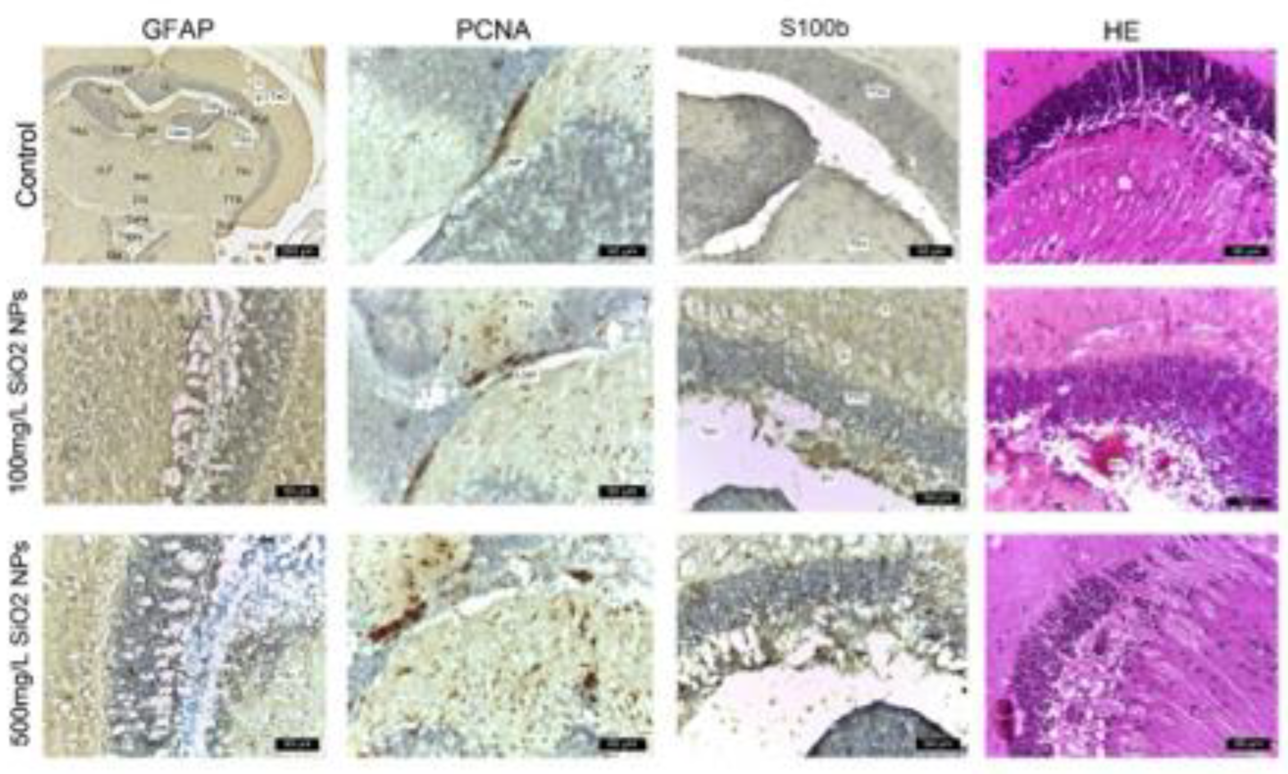 Preprints 168838 g009