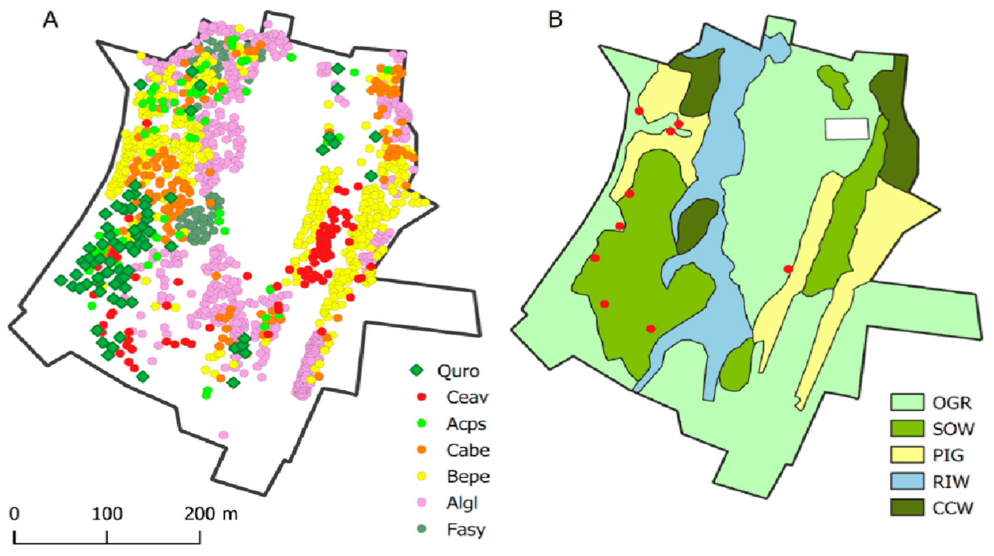 Preprints 83694 g002