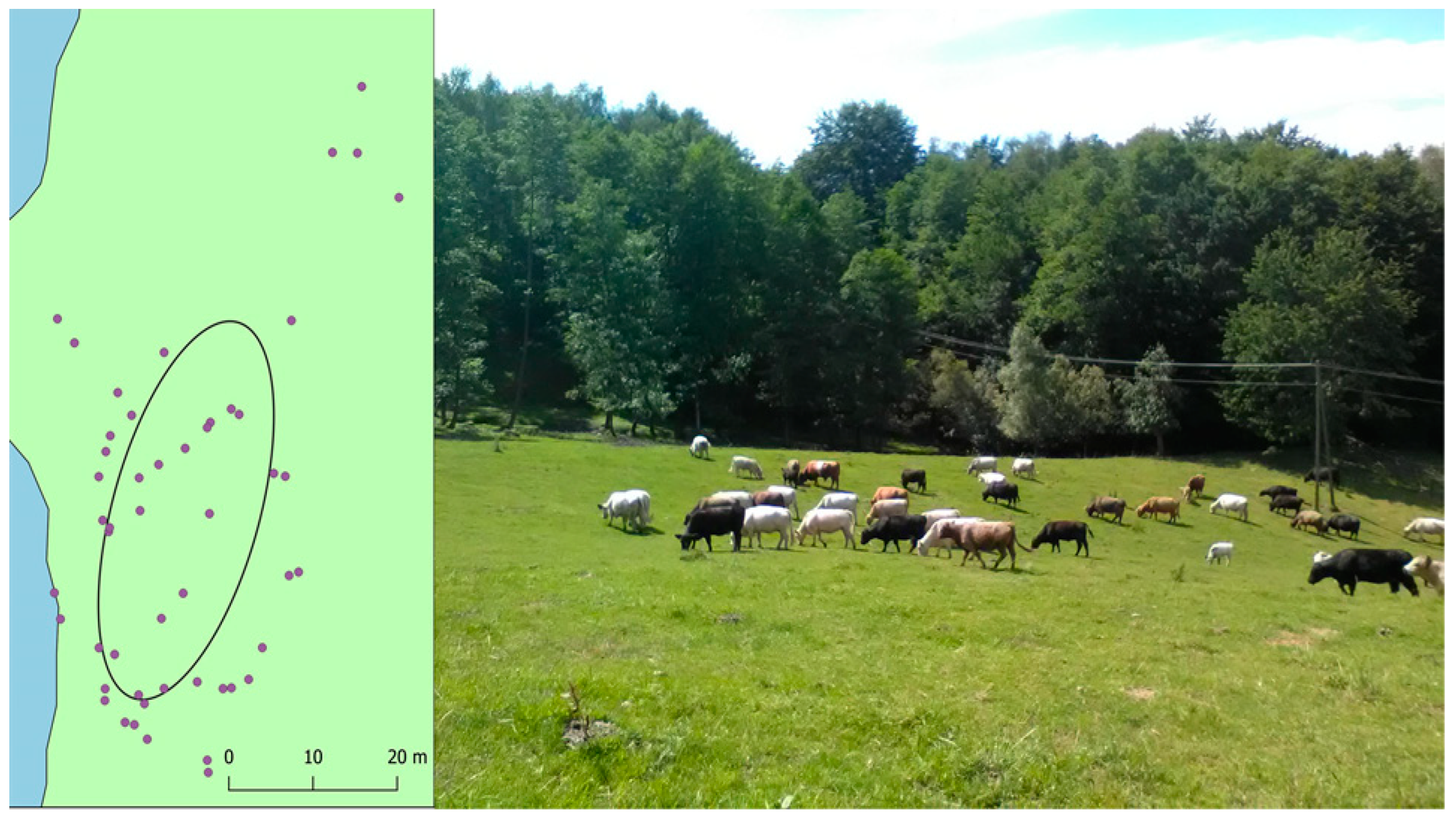 Preprints 83694 g003