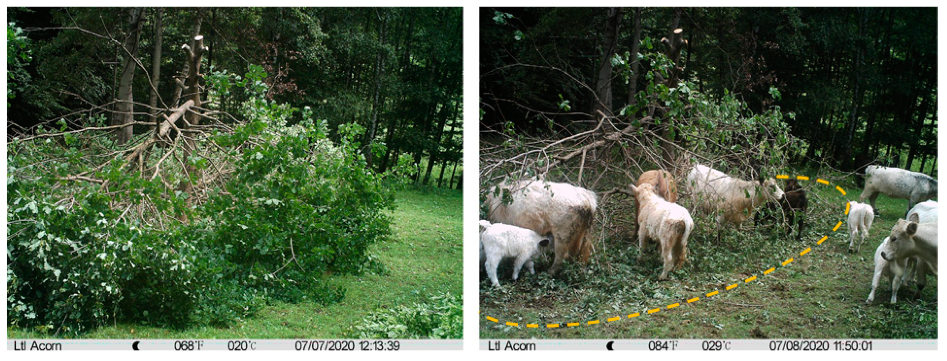 Preprints 83694 g004