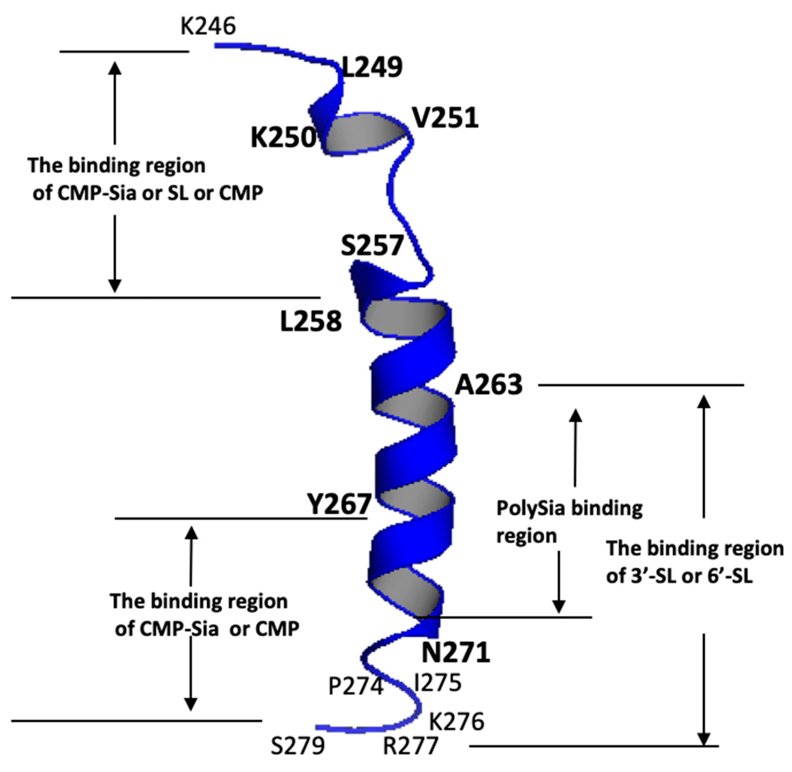 Preprints 102154 g004