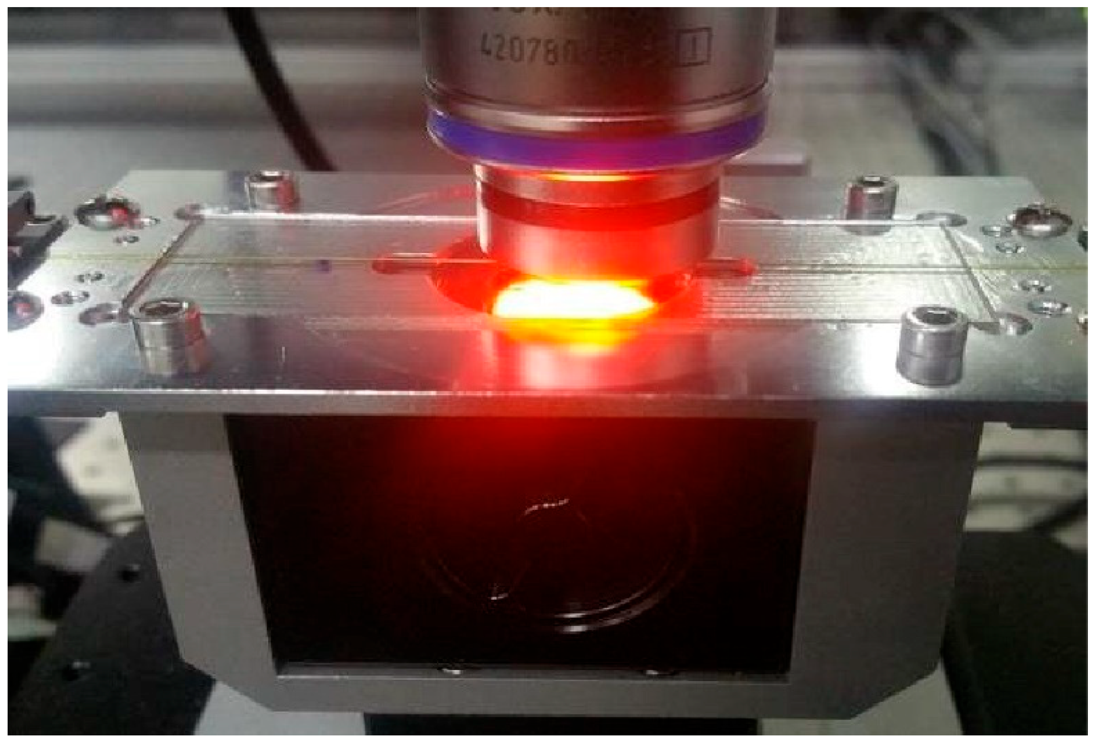 Preprints 190162 g001