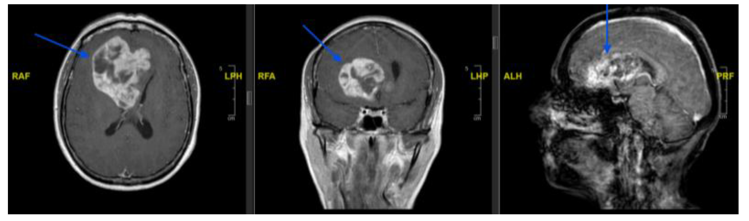 Preprints 209767 g001