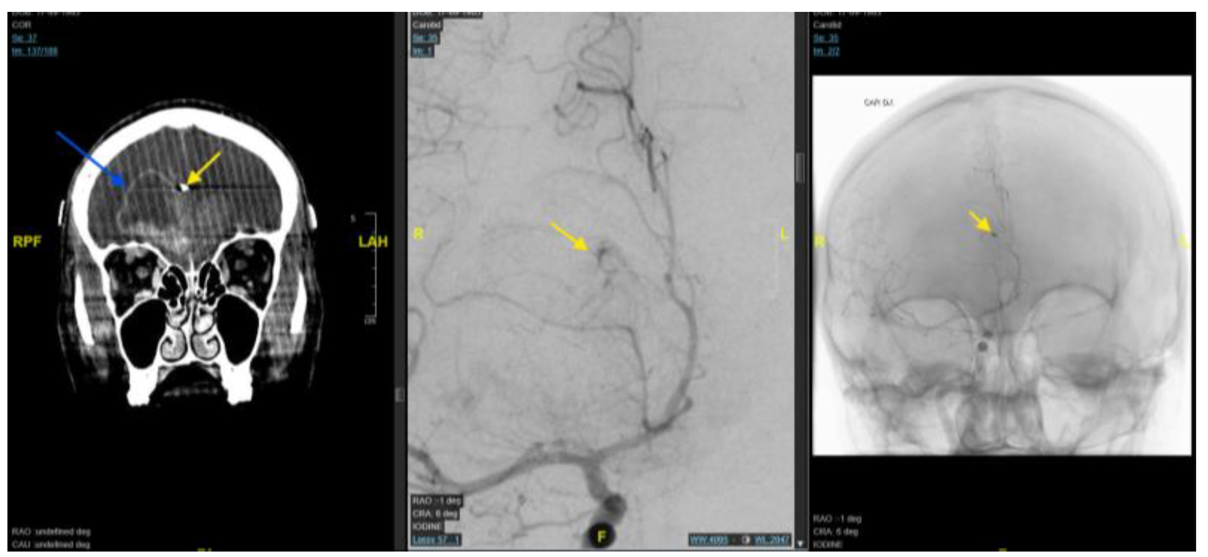 Preprints 209767 g002