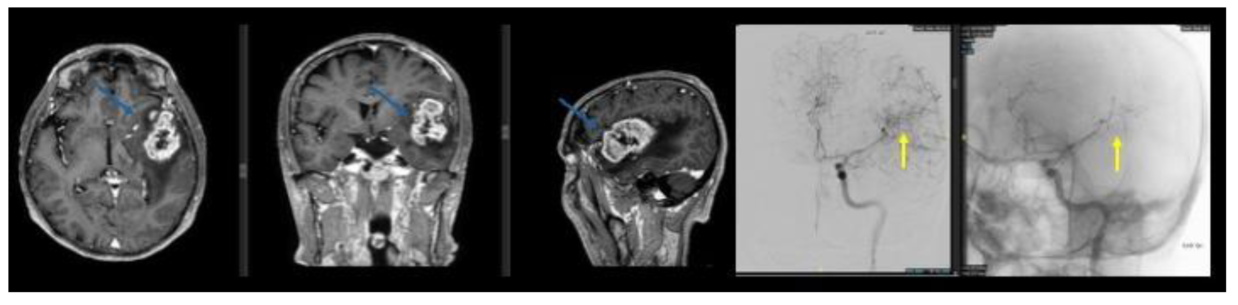 Preprints 209767 g006