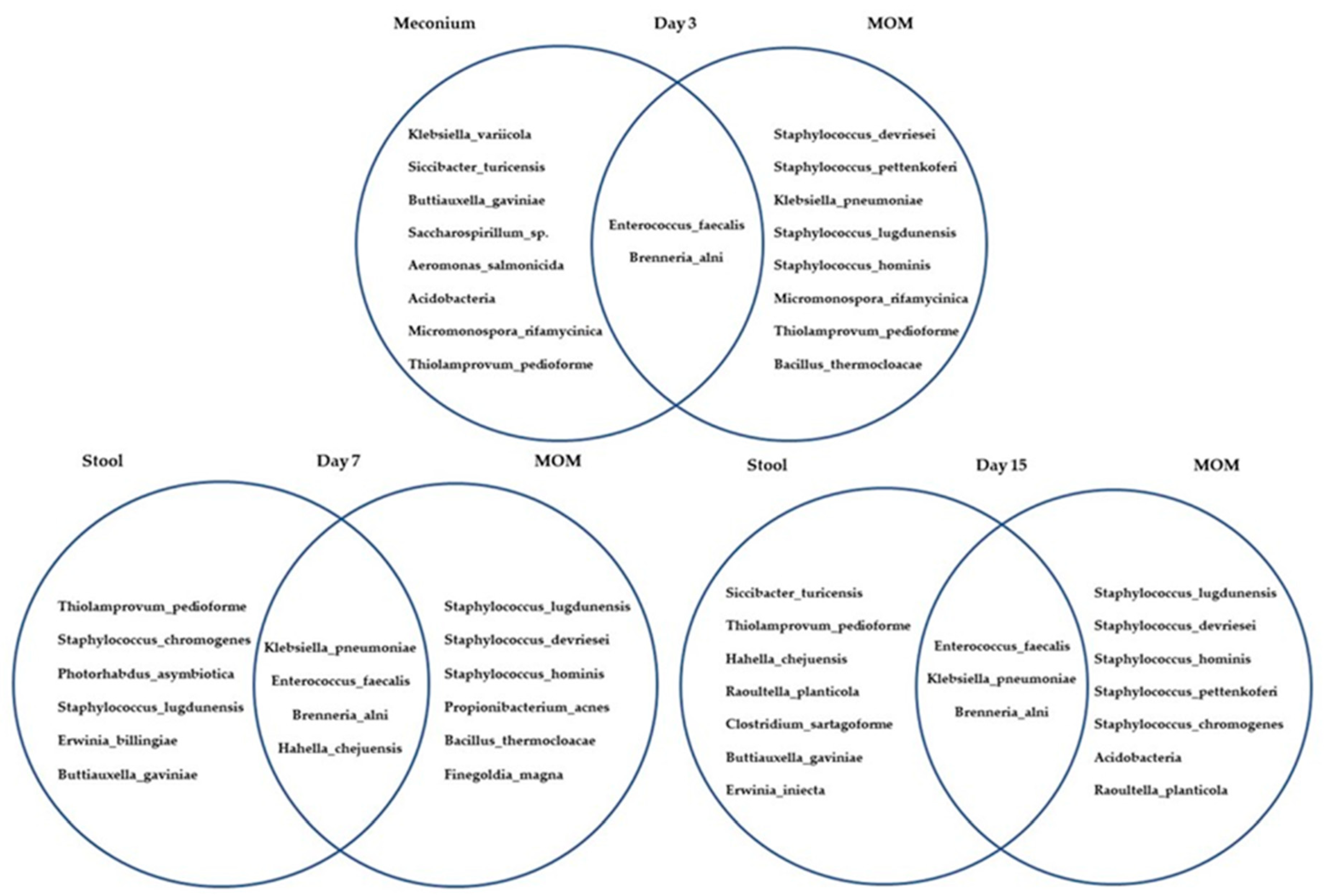 Preprints 82561 g002