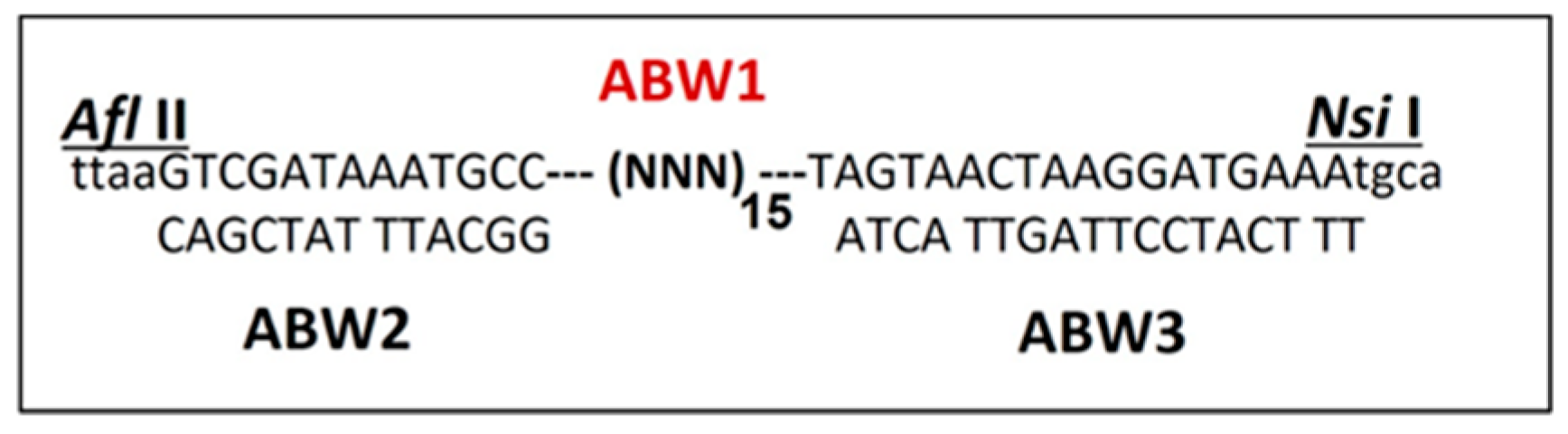 Preprints 73523 g001