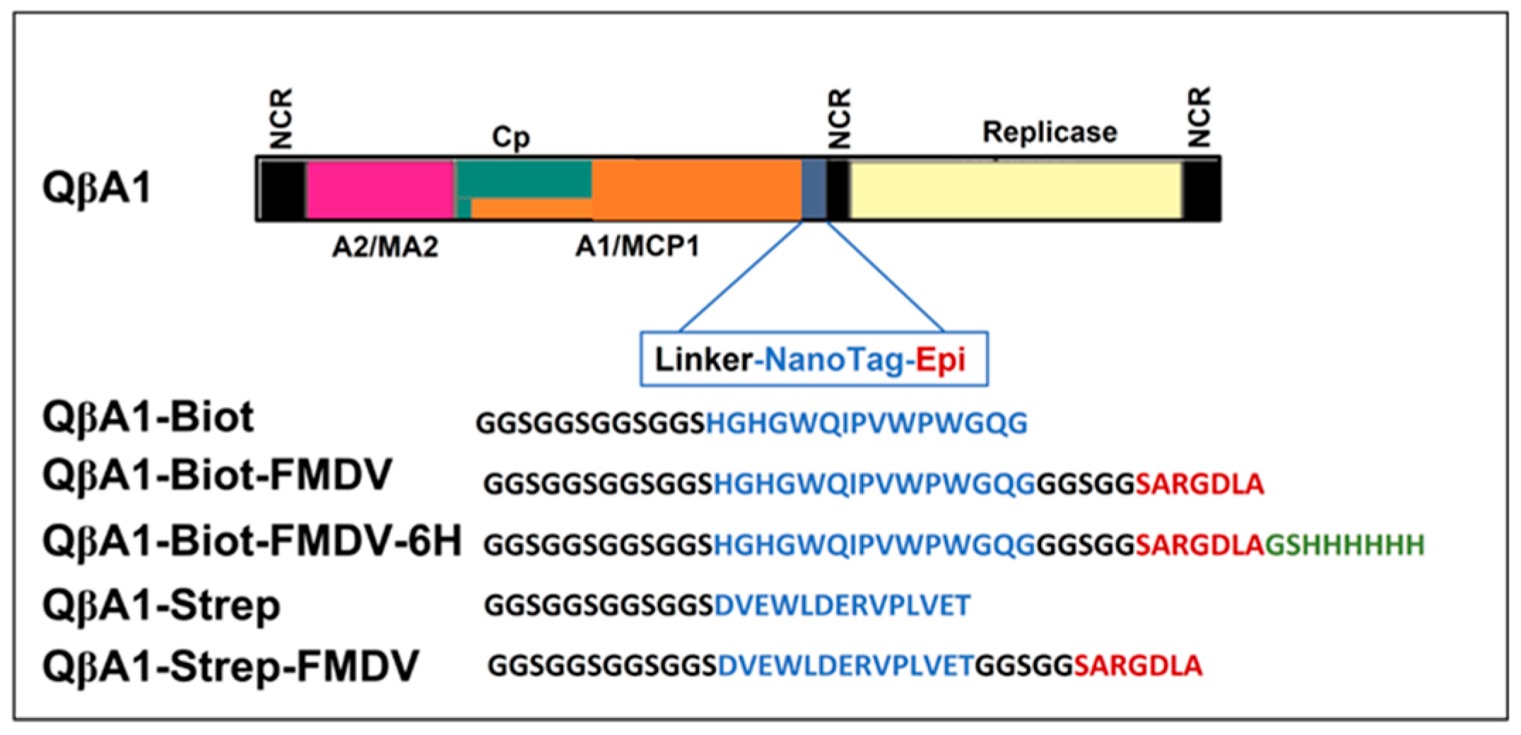 Preprints 73523 g002