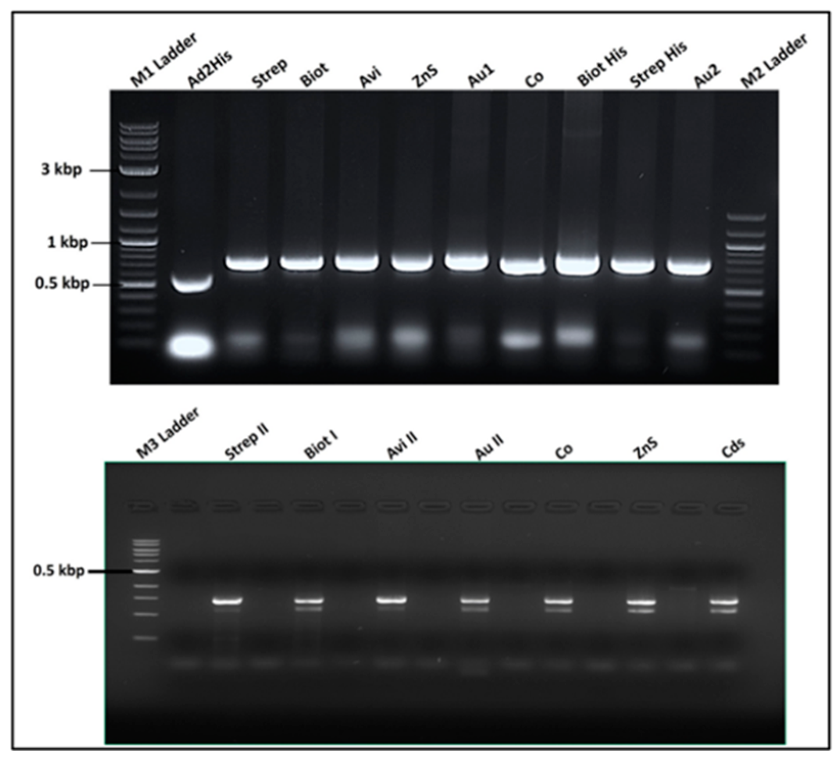 Preprints 73523 g004
