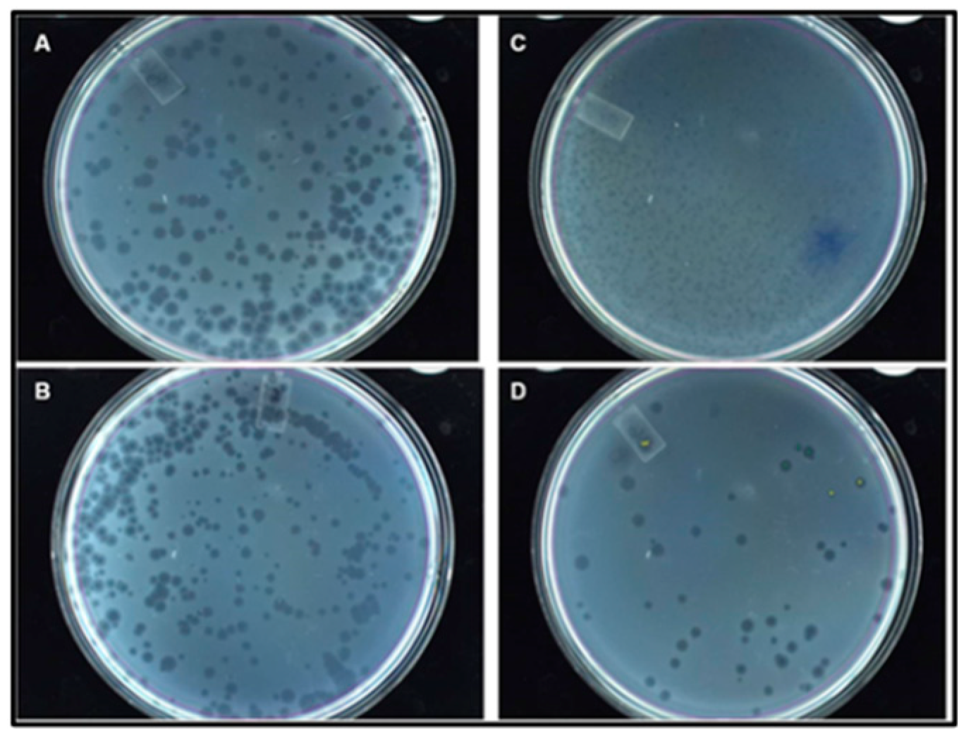 Preprints 73523 g006
