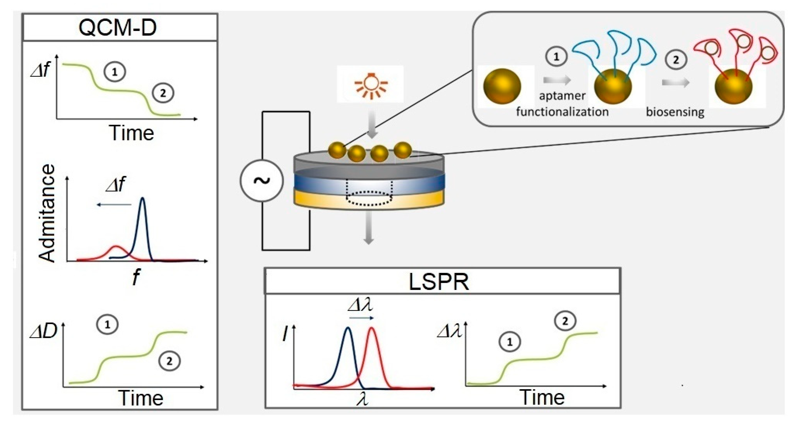 Preprints 173390 g002