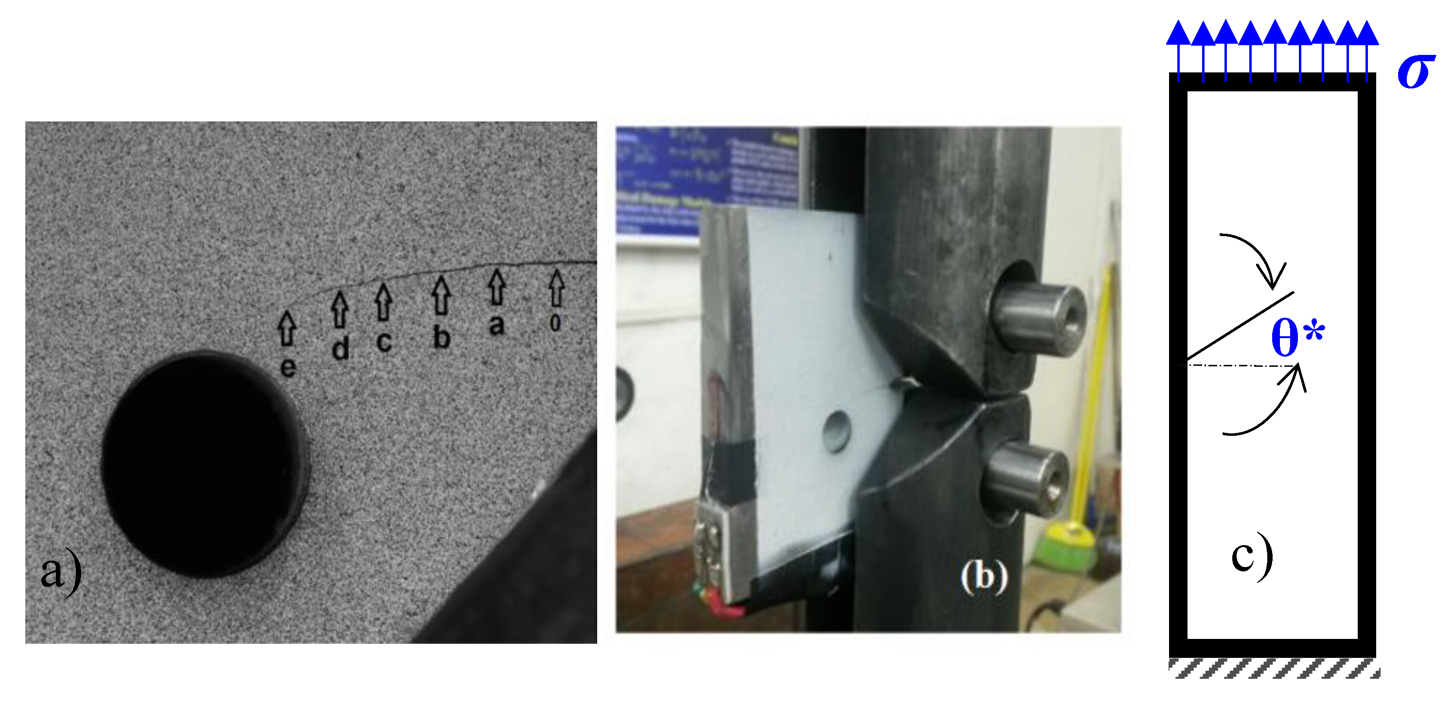 Preprints 93472 g003