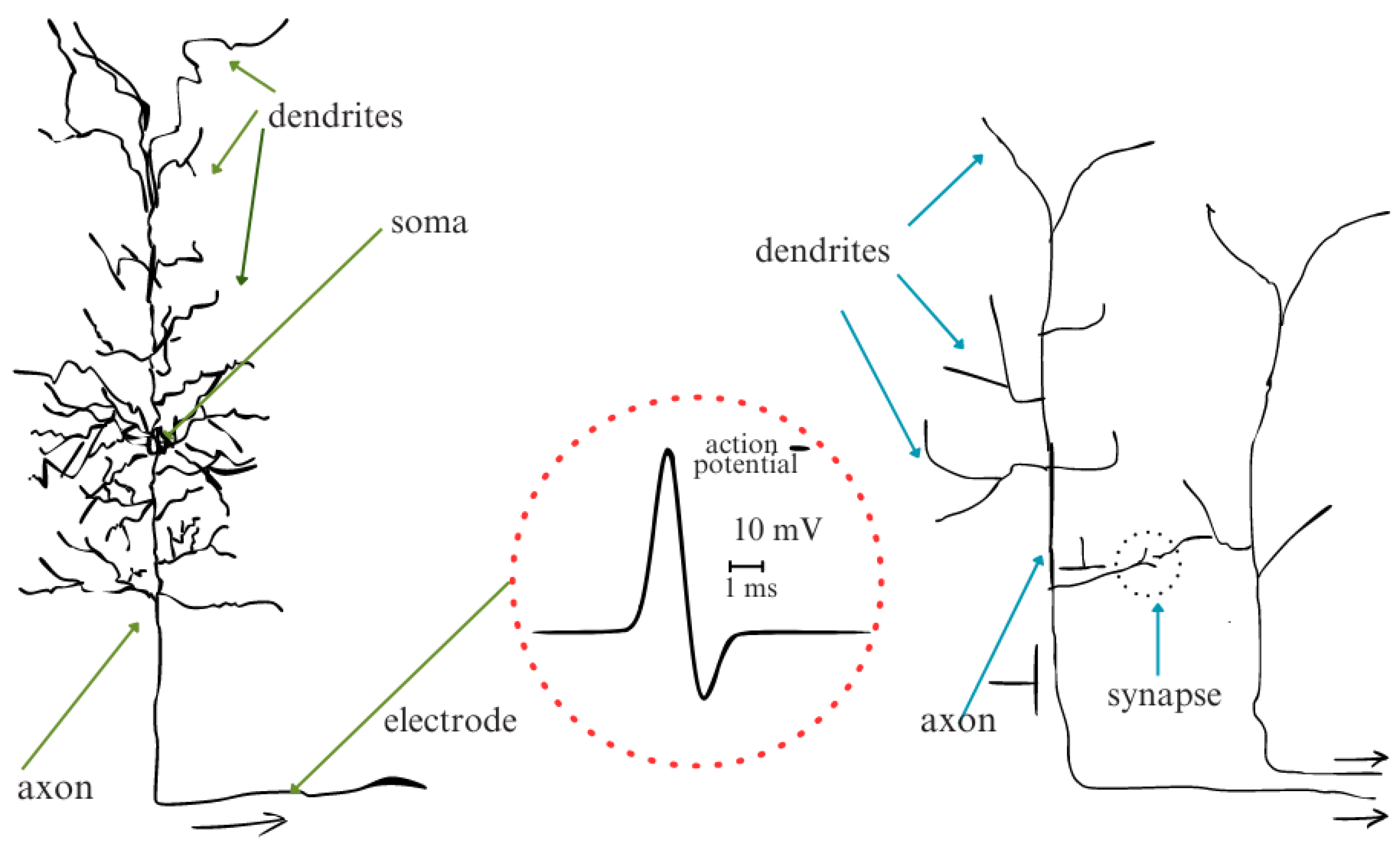 Preprints 145617 g006