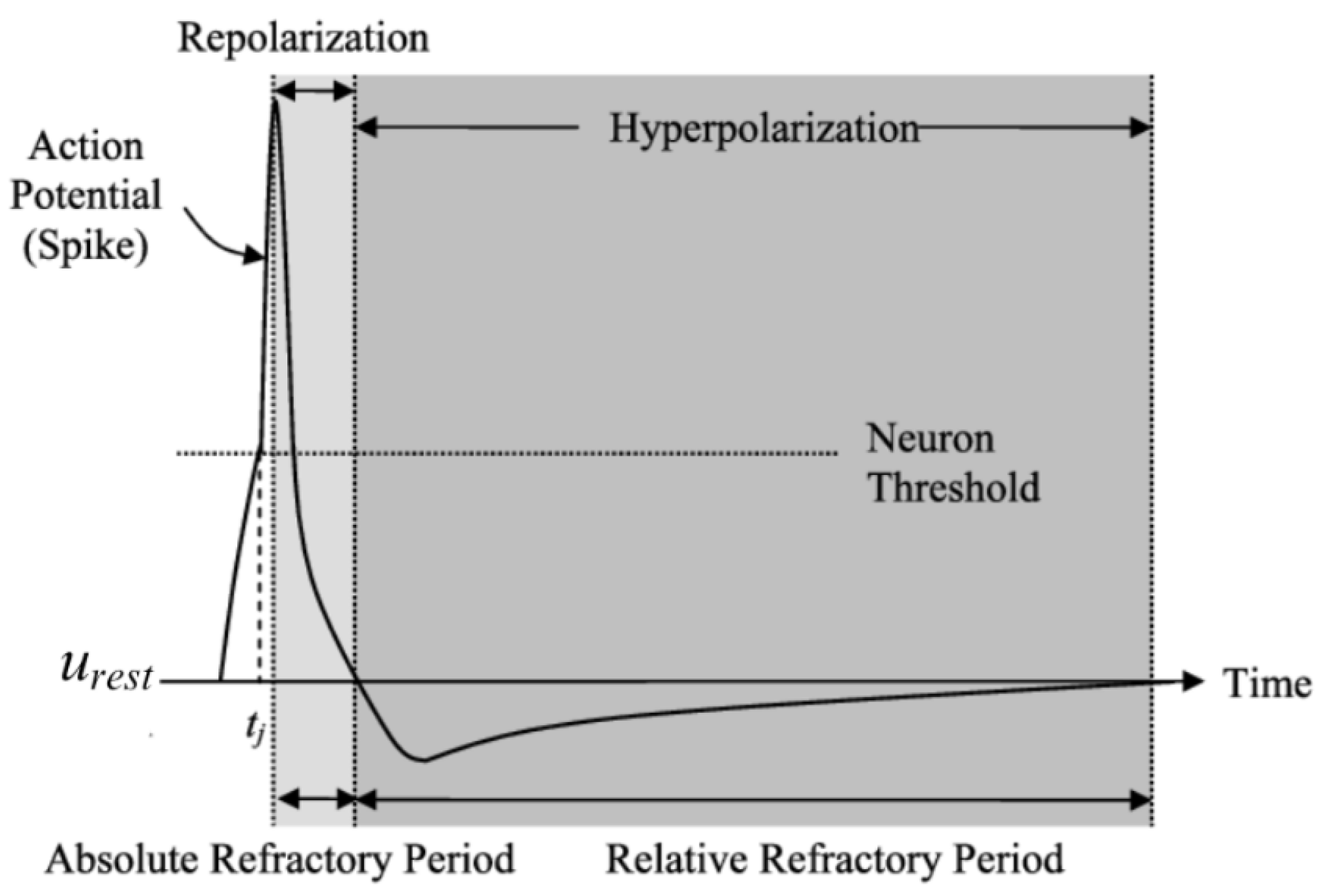 Preprints 145617 g009