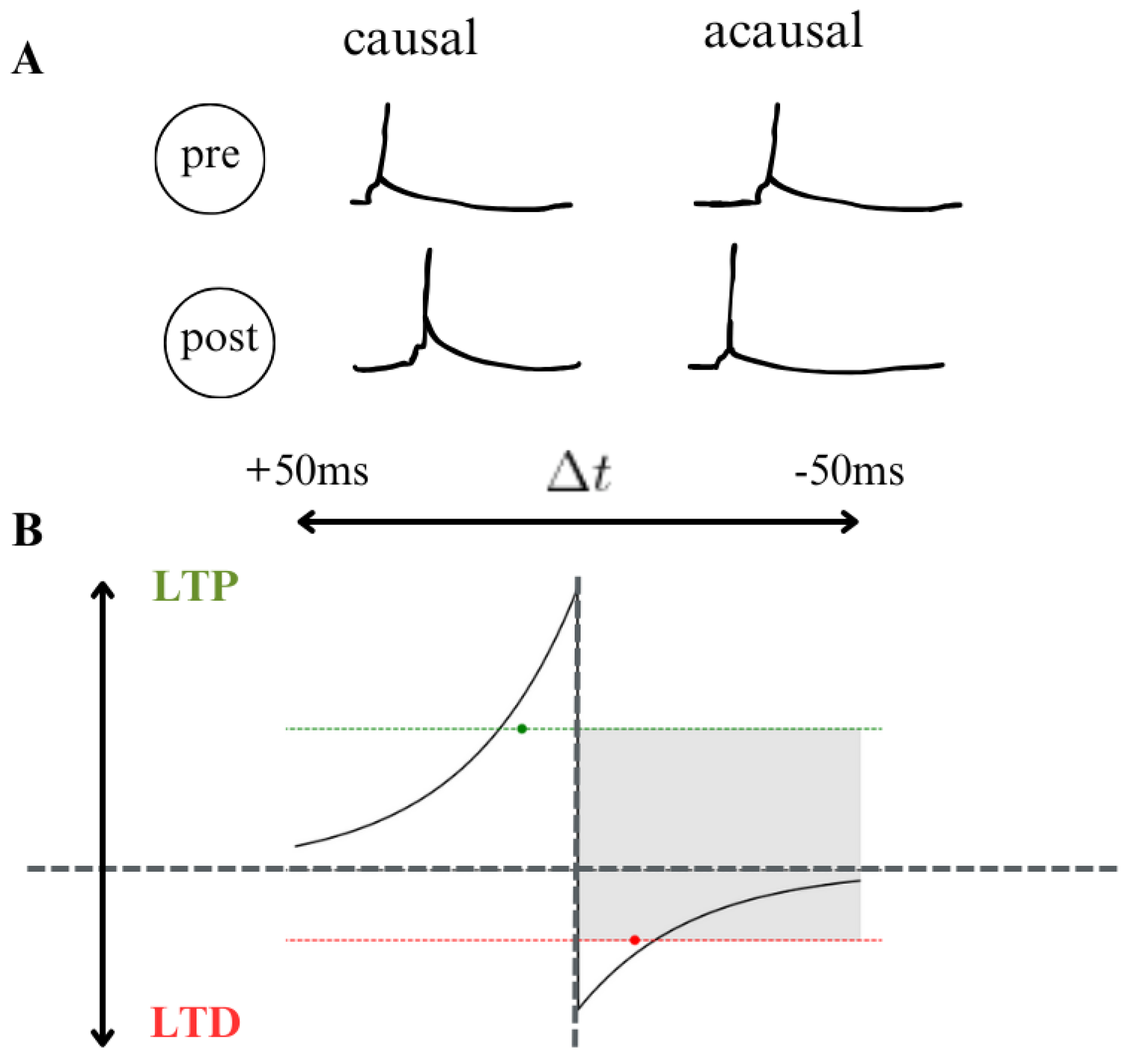 Preprints 145617 g012