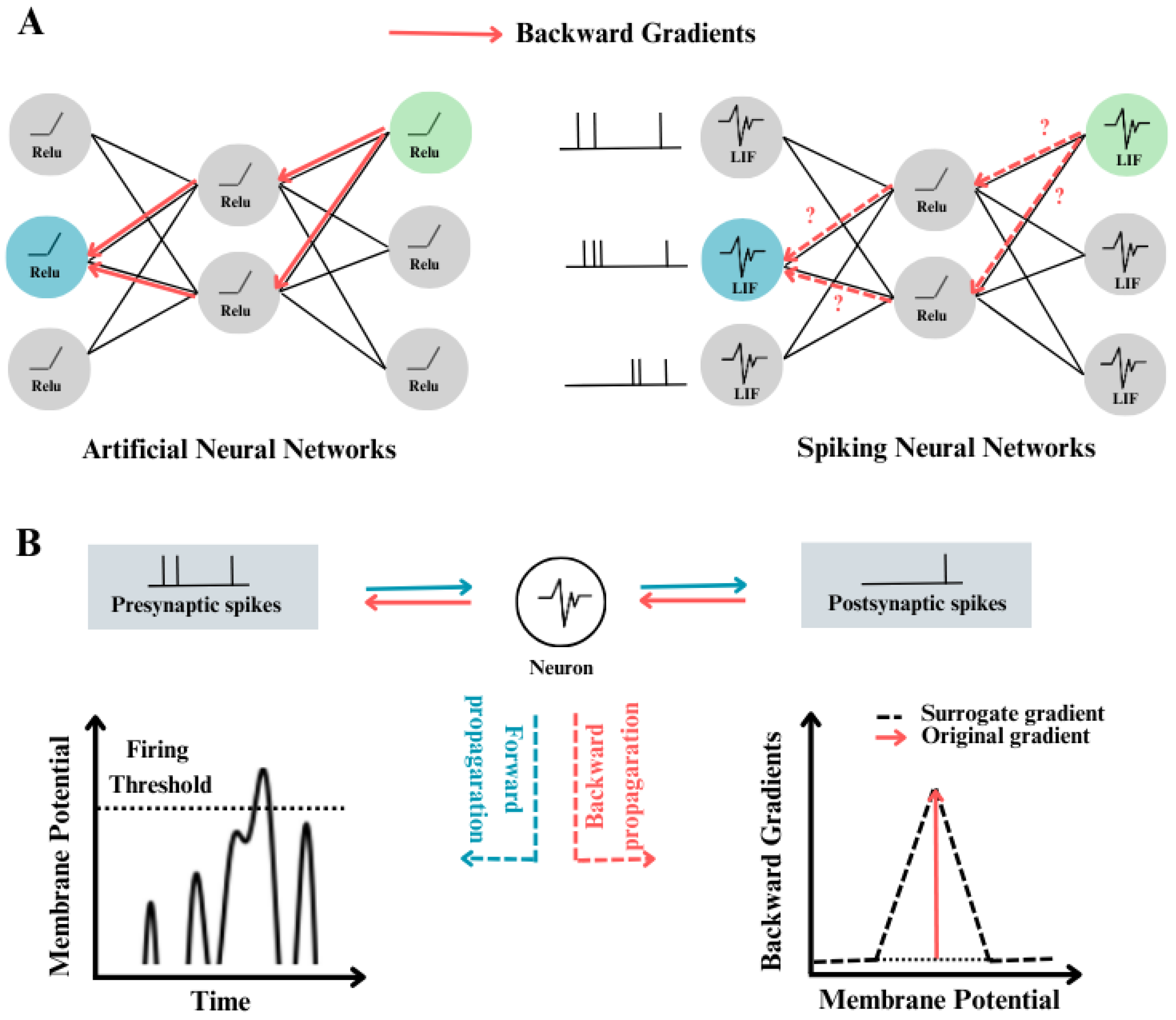 Preprints 145617 g014