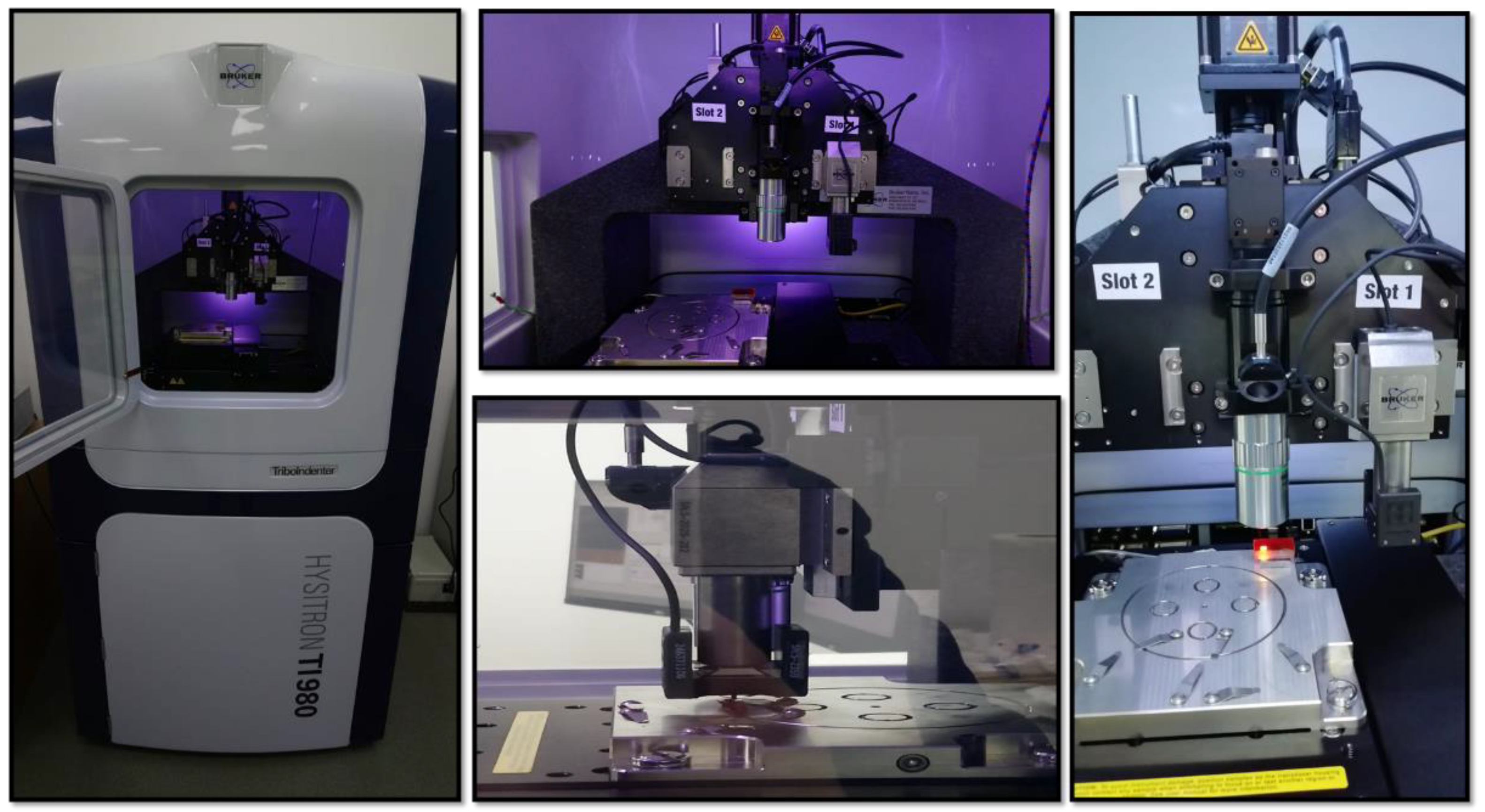 Preprints 140169 g002