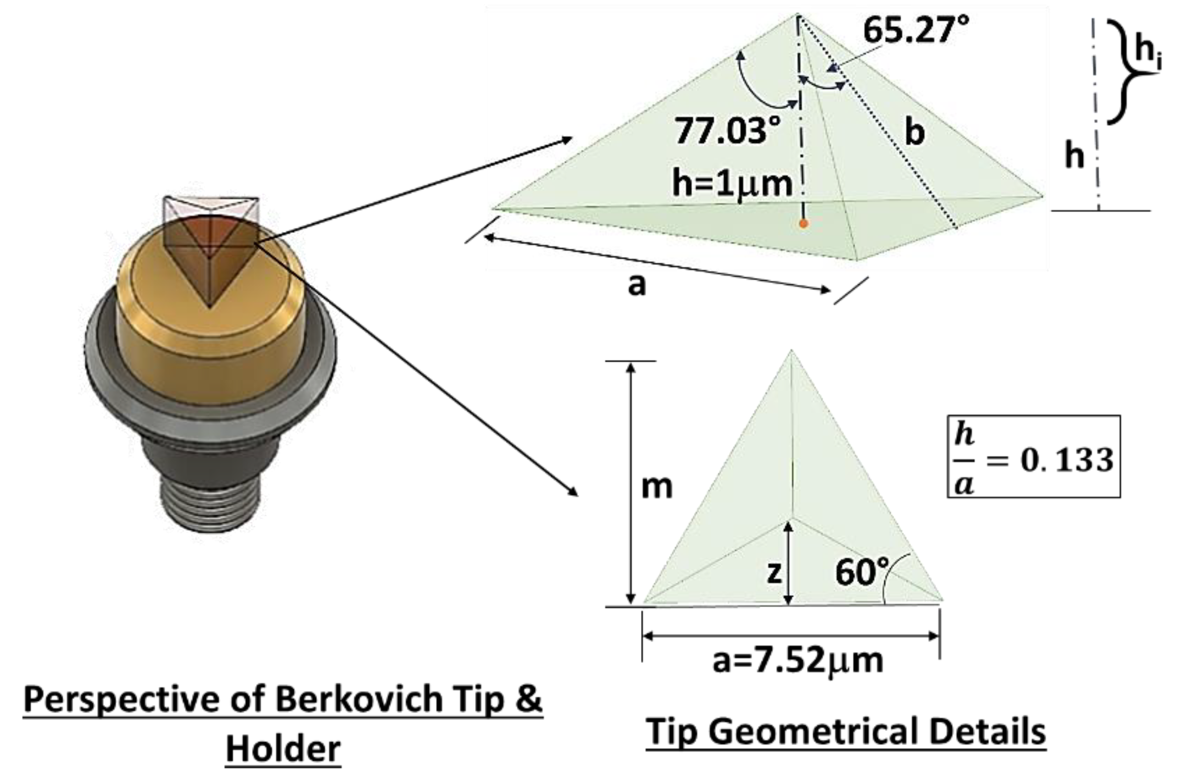 Preprints 140169 g006