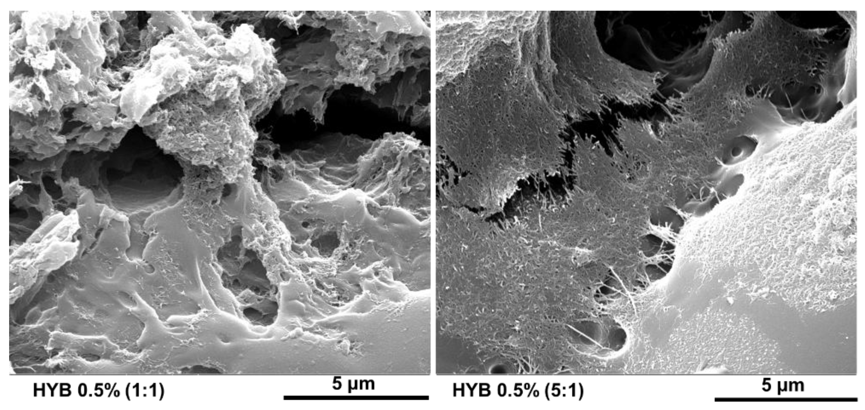 Preprints 140169 g027
