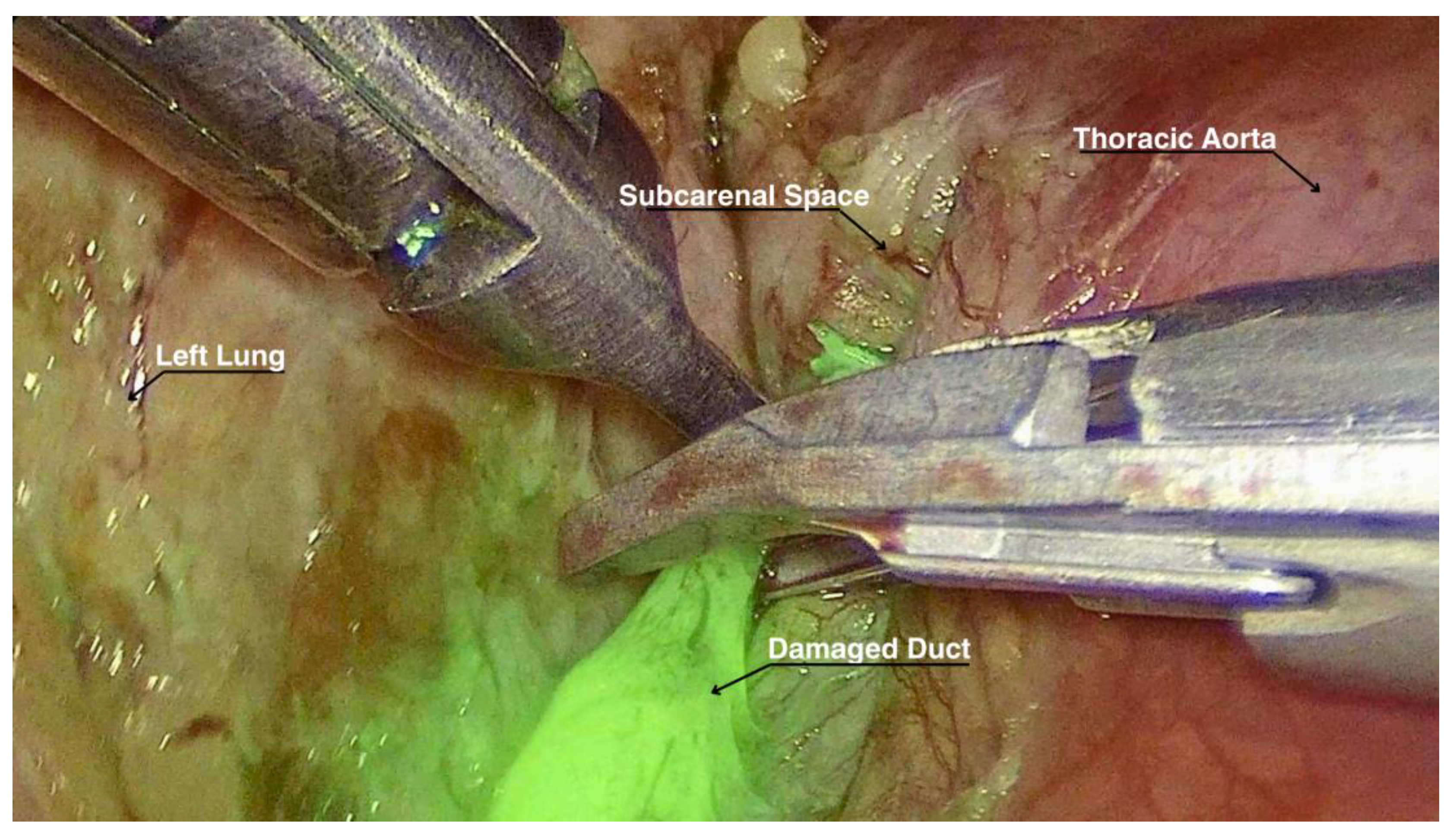 Preprints 119209 g001