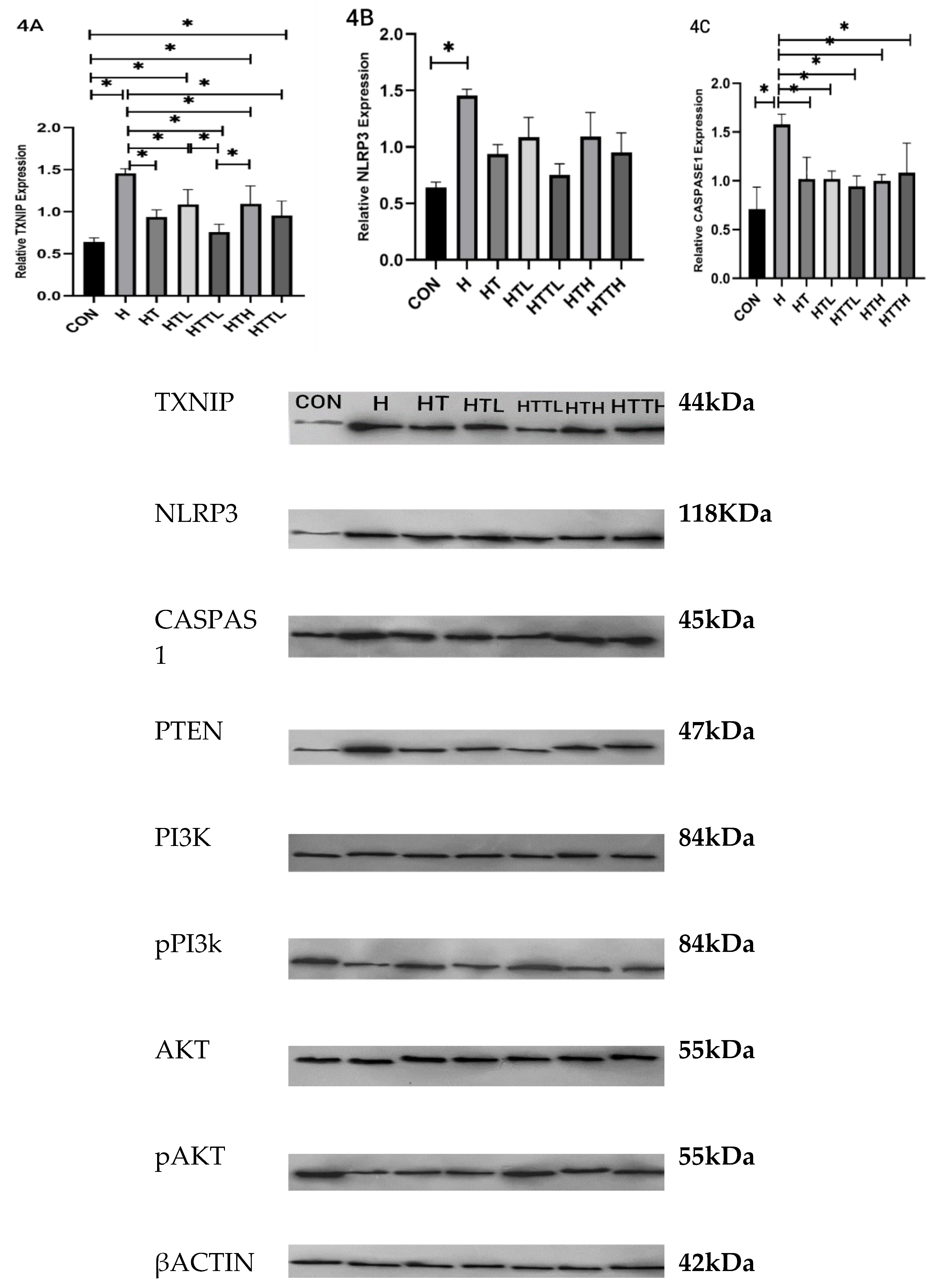 Preprints 140773 g004