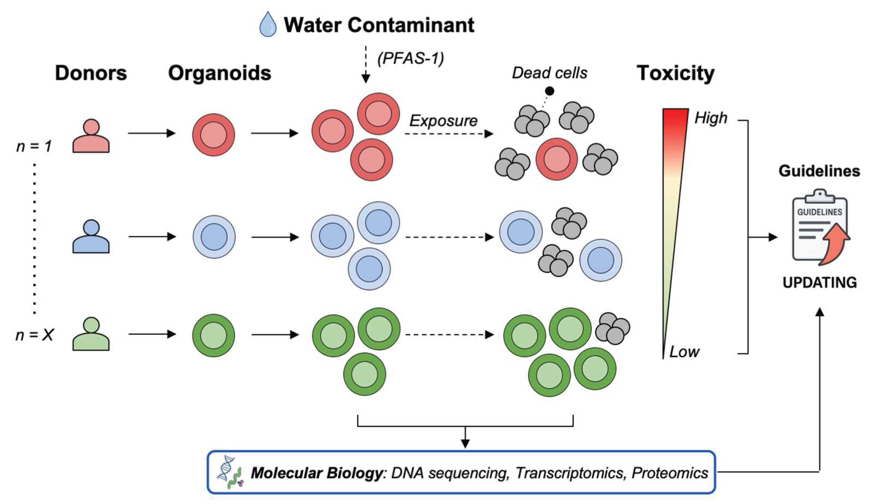 Preprints 180307 g004