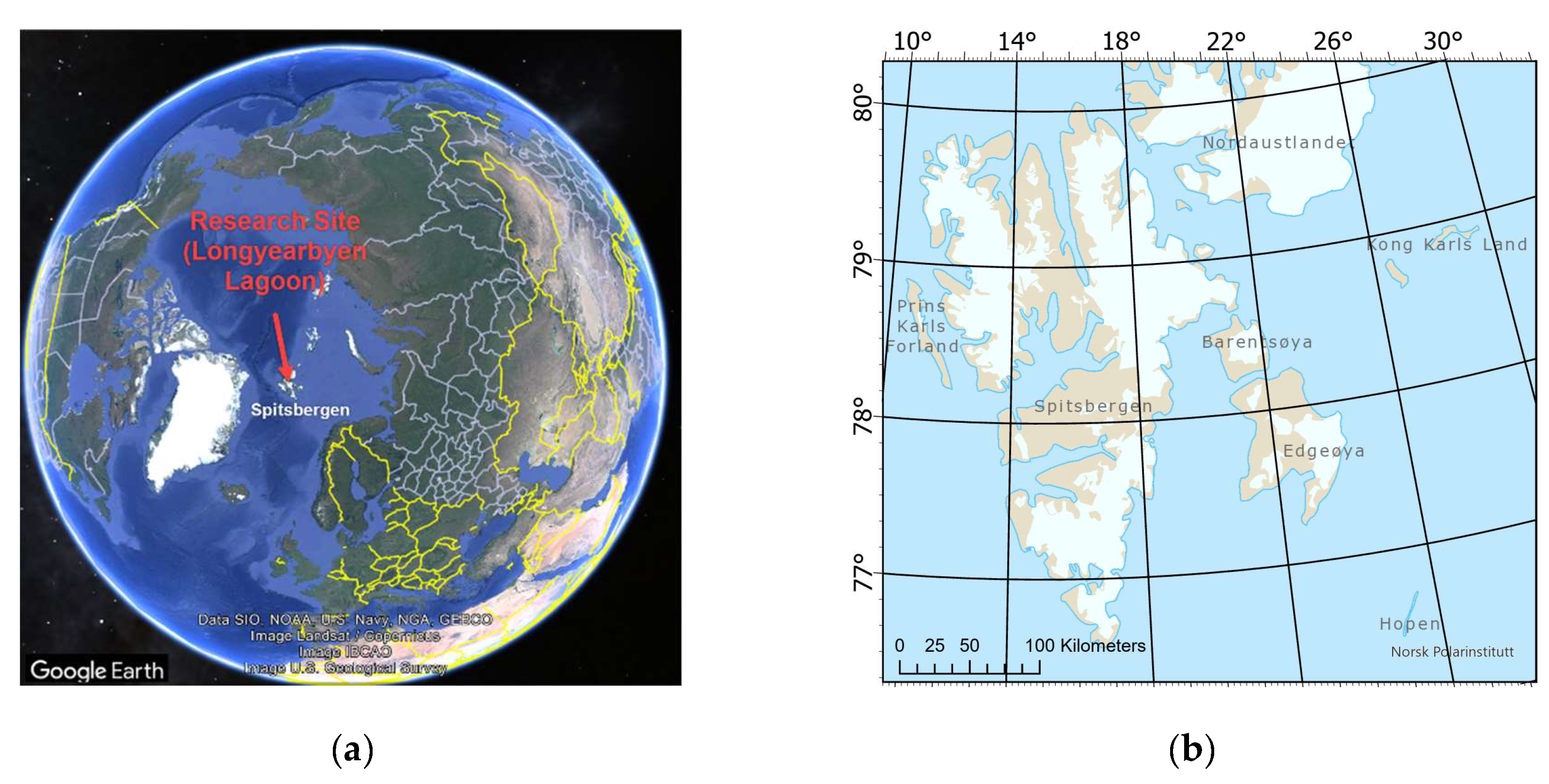 Preprints 147910 g001