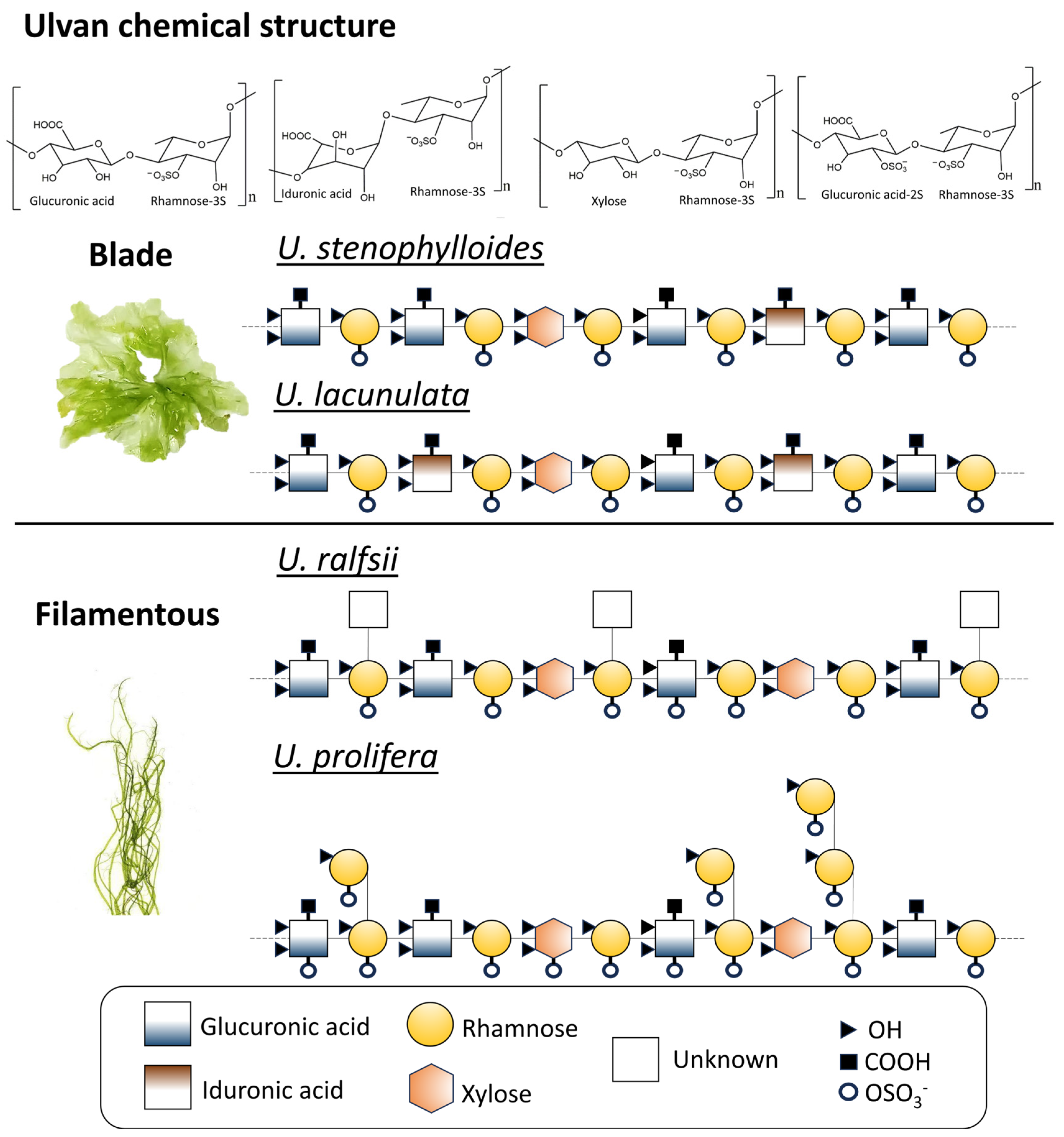 Preprints 144578 g002