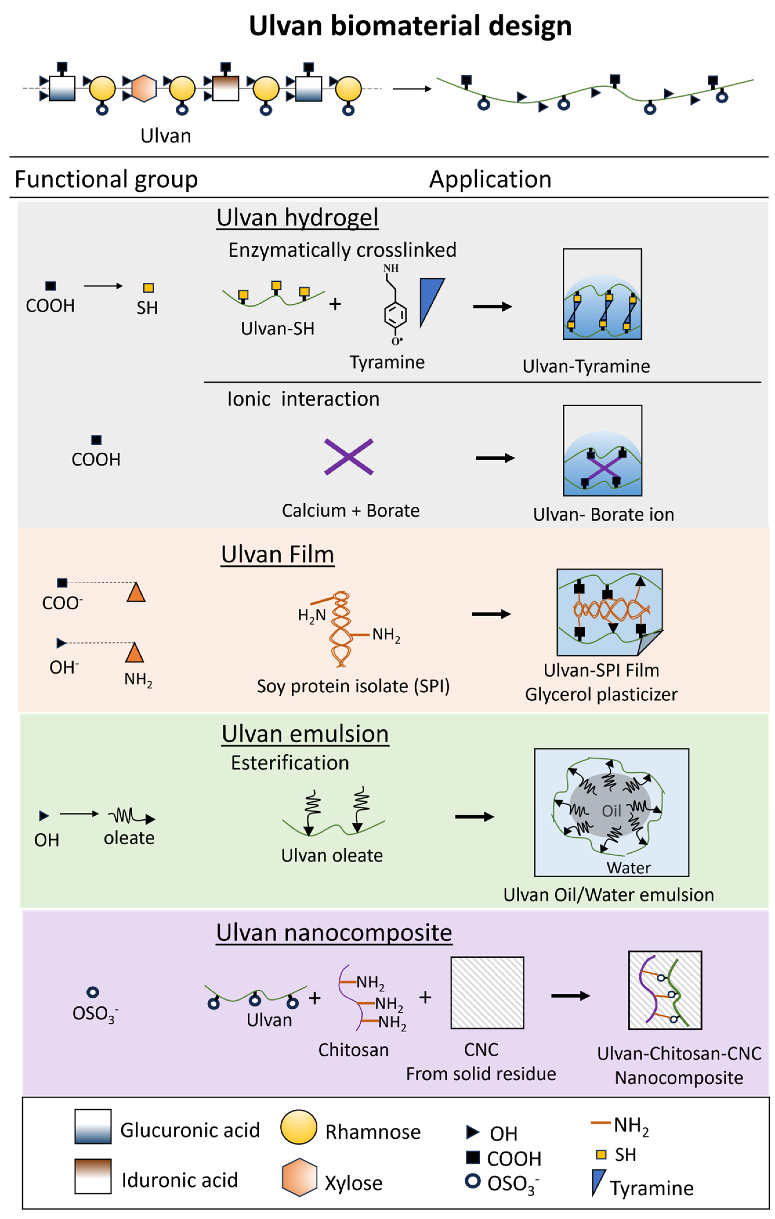 Preprints 144578 g005