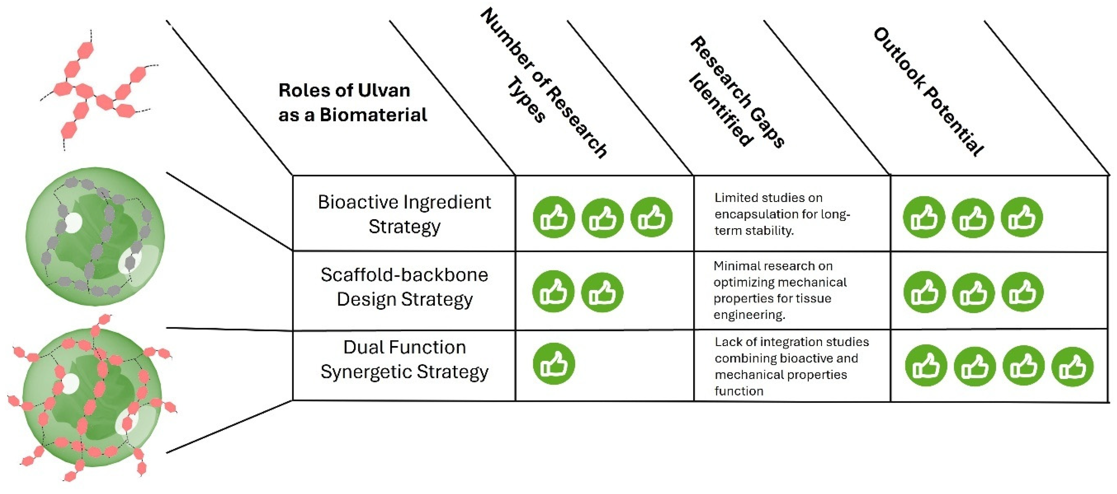 Preprints 144578 g006