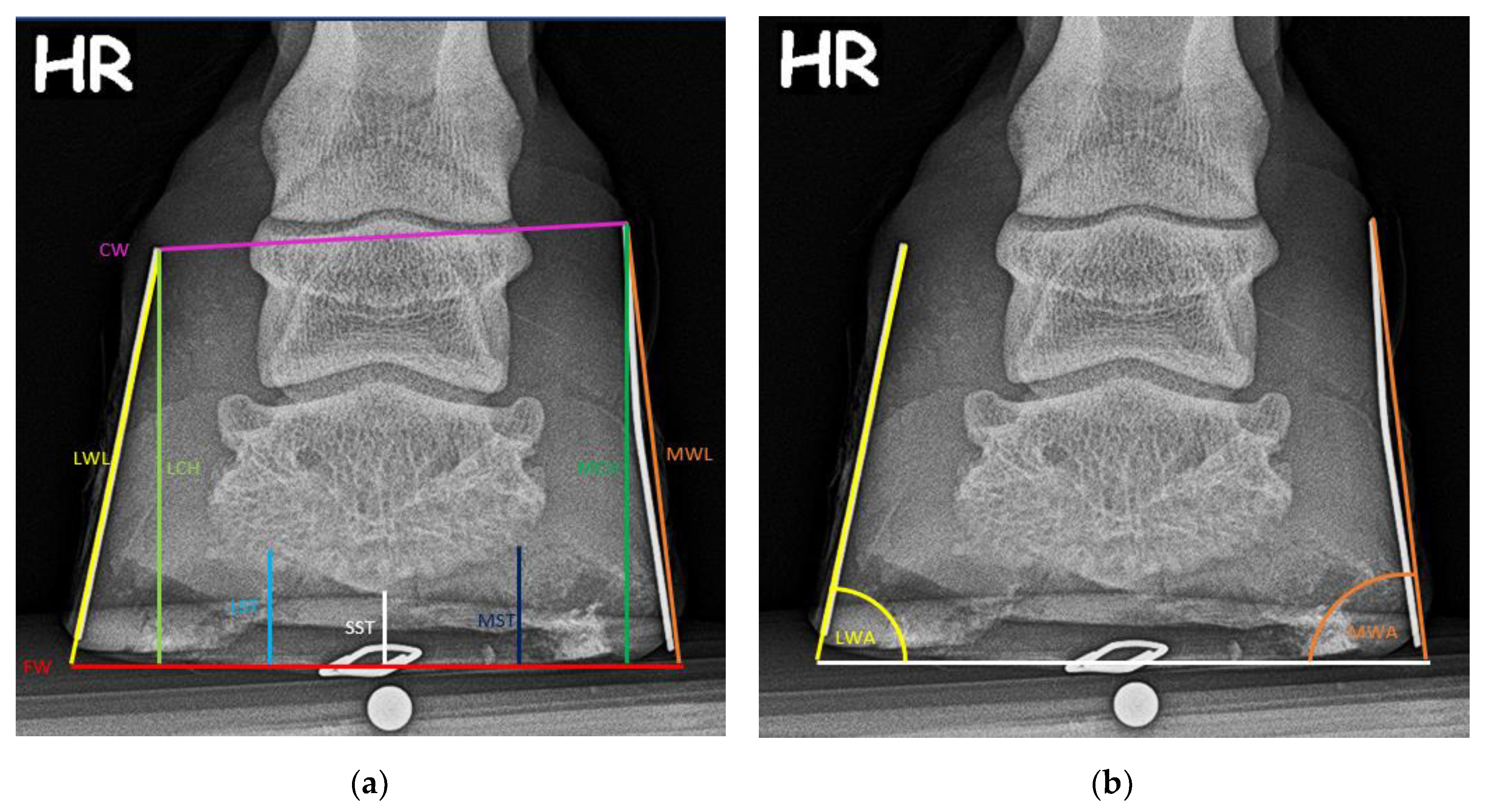 Preprints 141135 g003