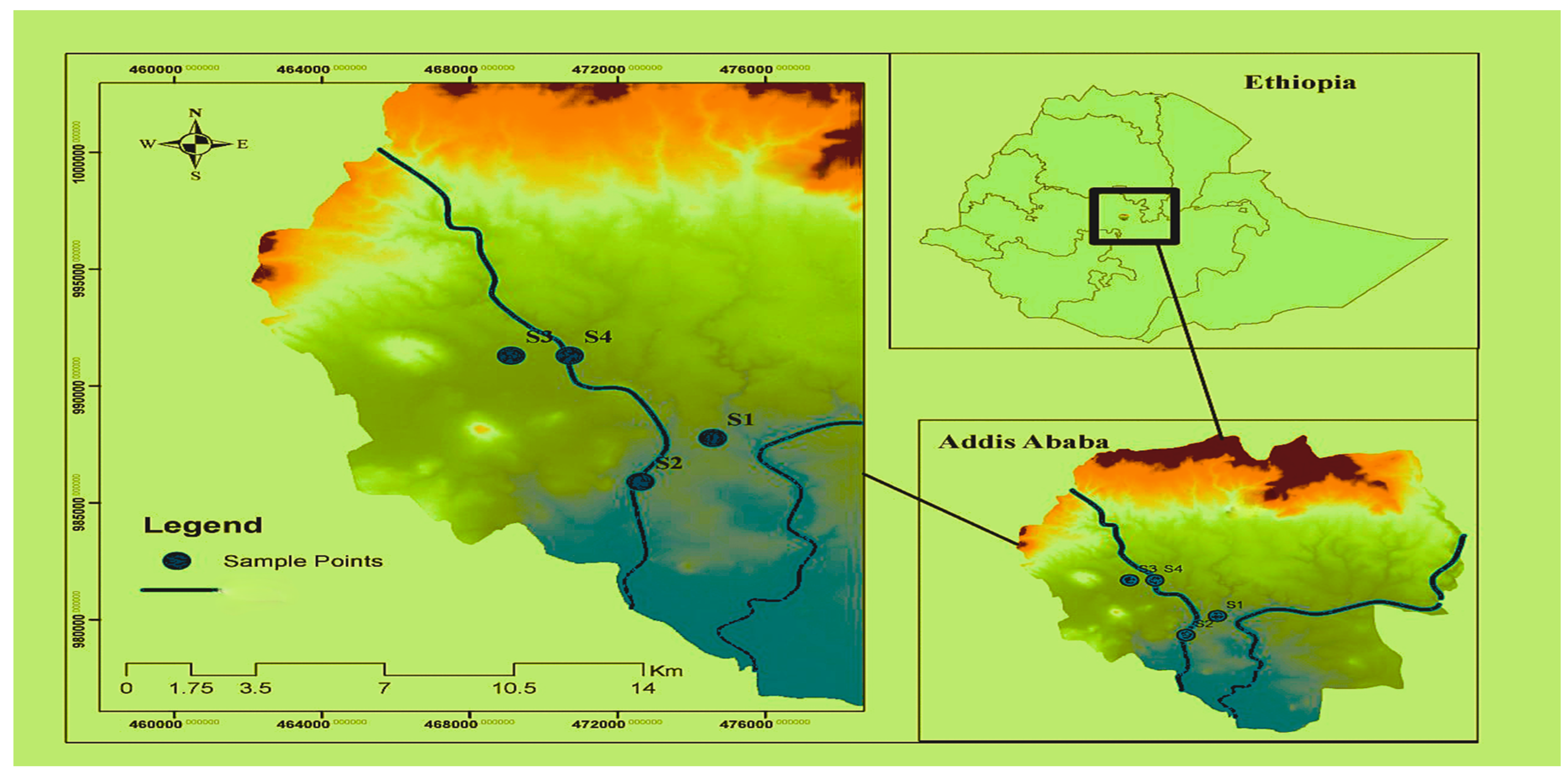 Preprints 206683 g001