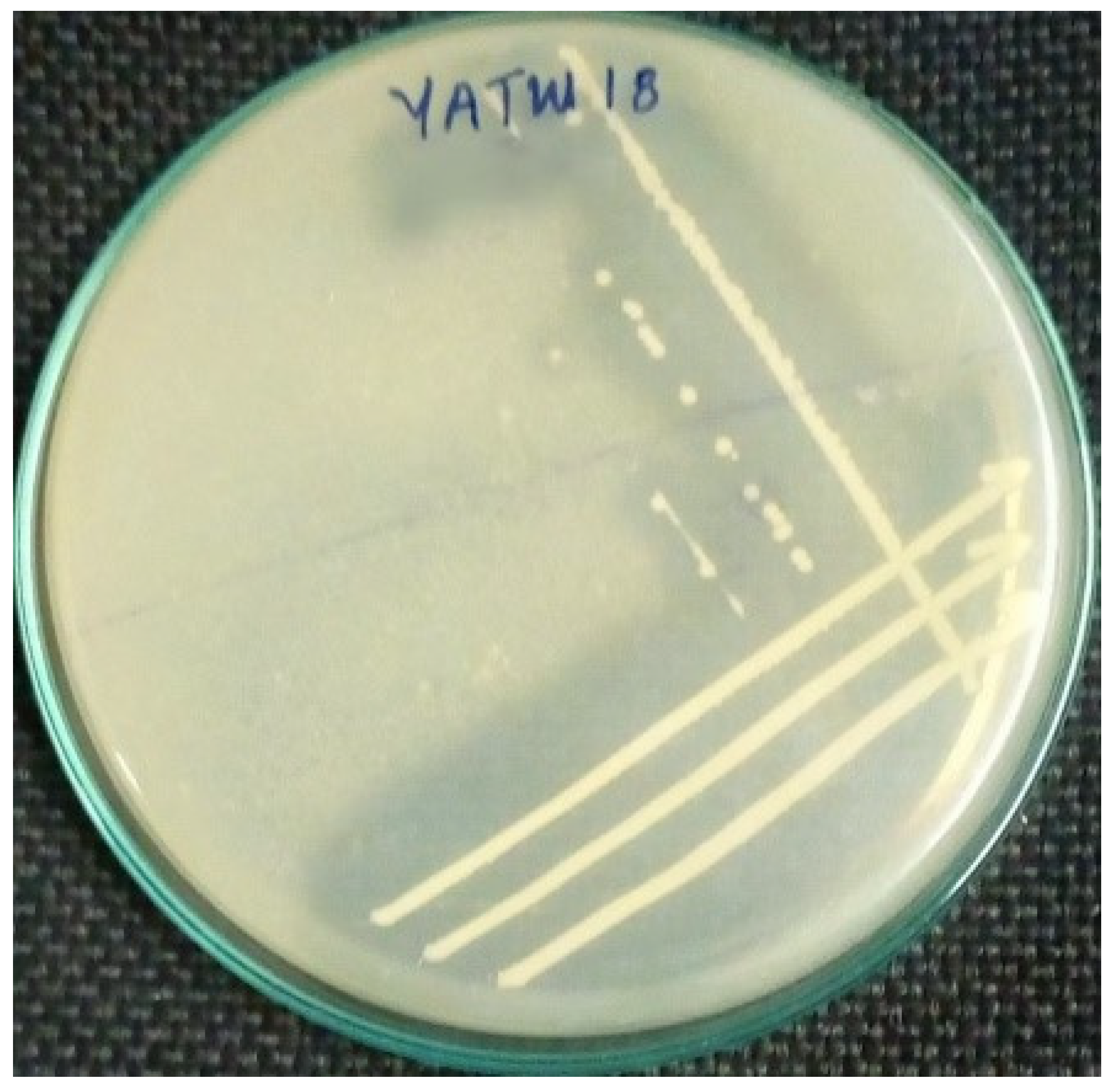 Preprints 206683 g002