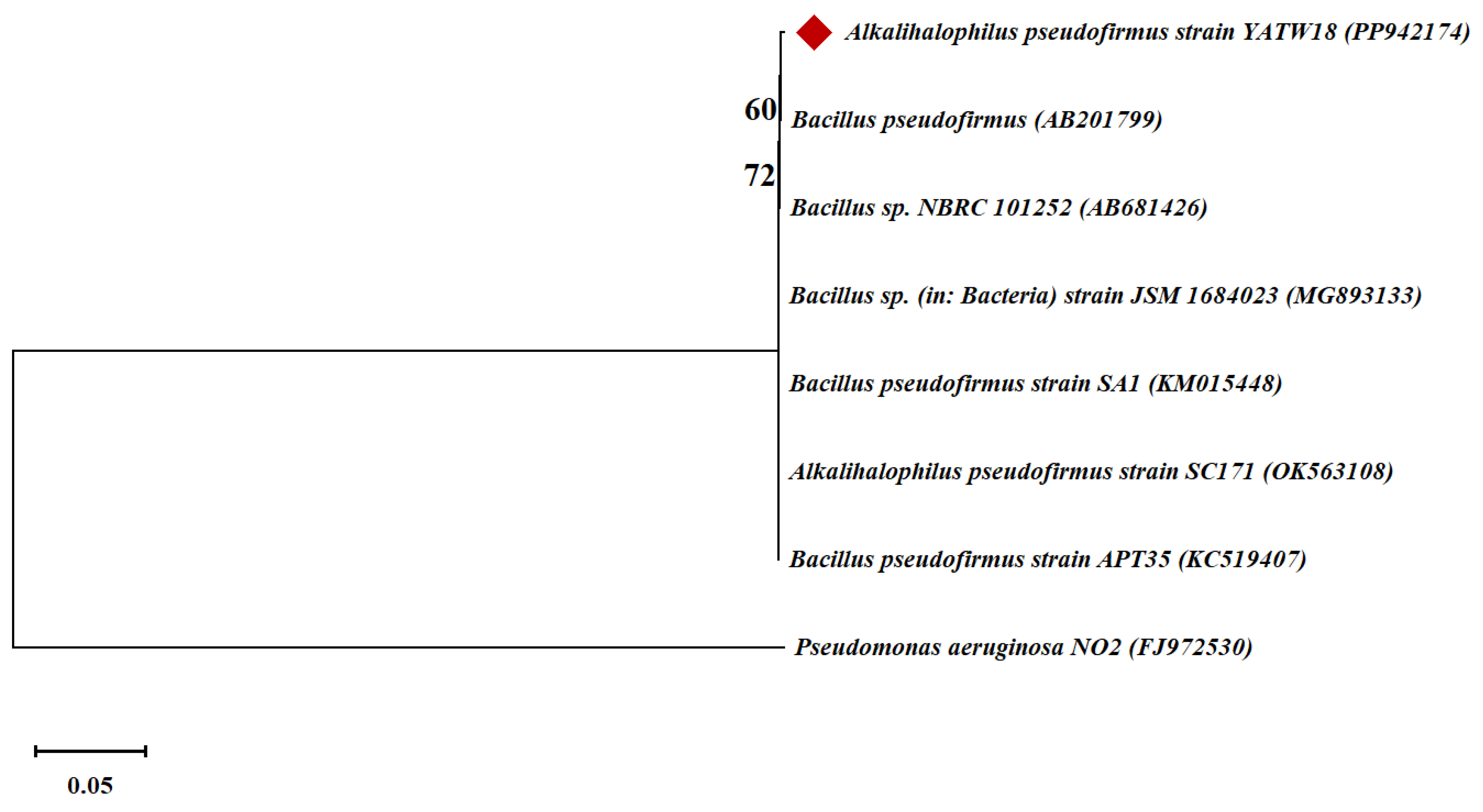 Preprints 206683 g004