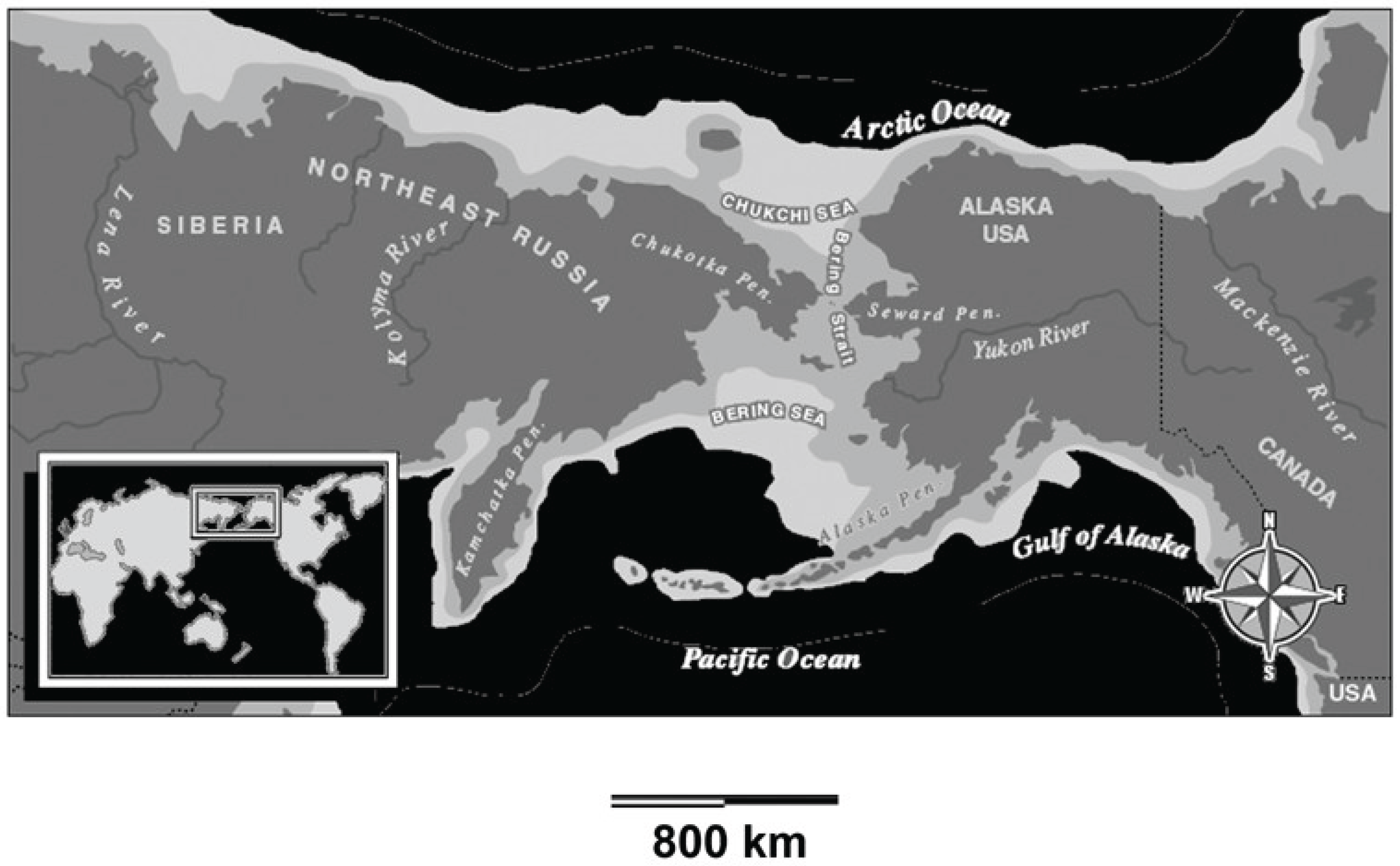 Preprints 197096 g002