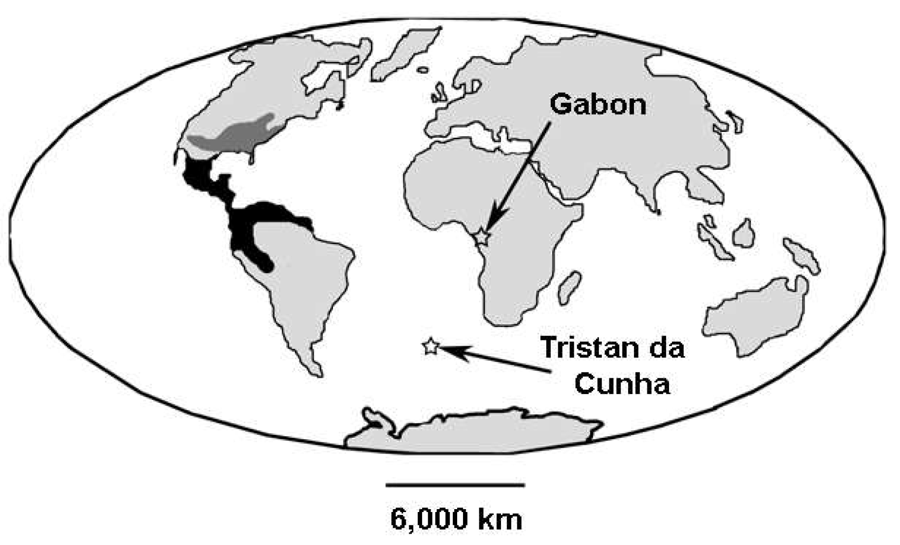 Preprints 197096 g003