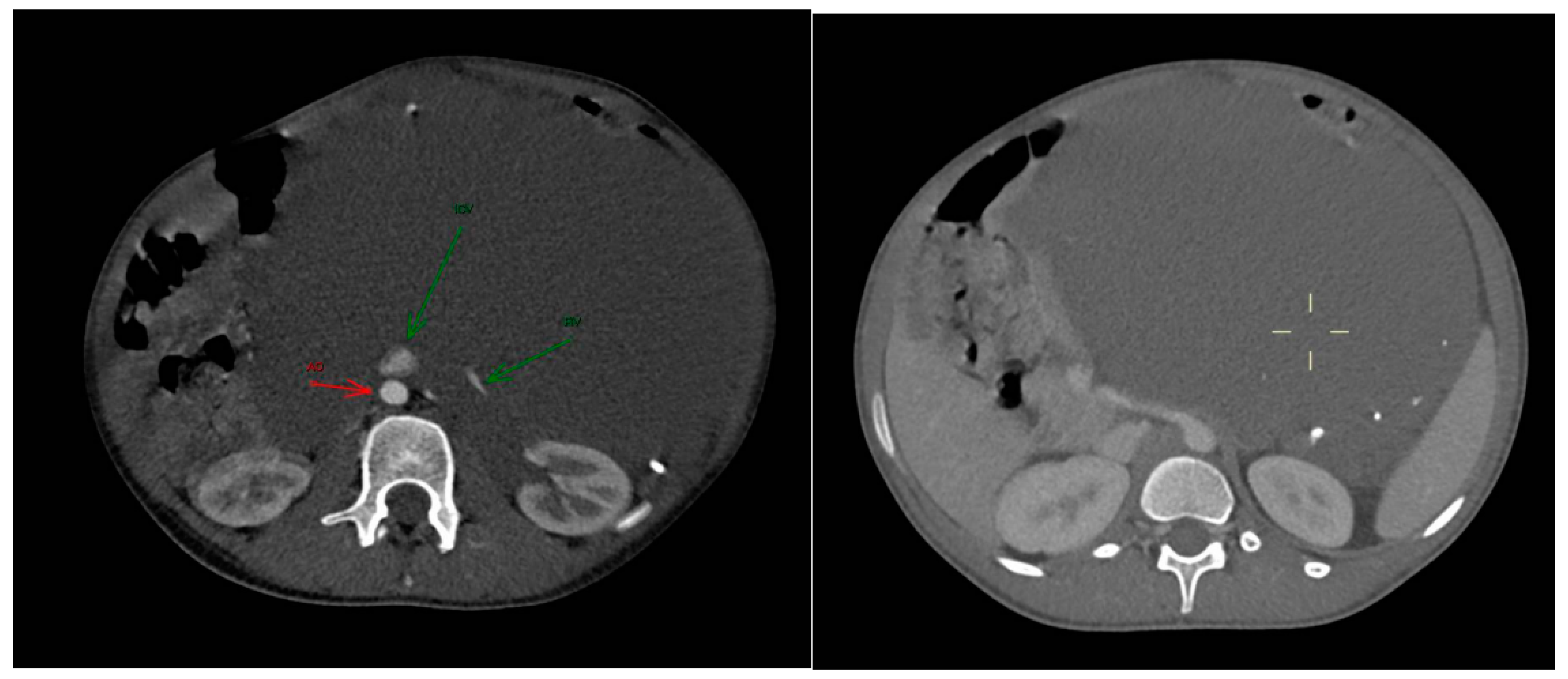 Preprints 169409 g001