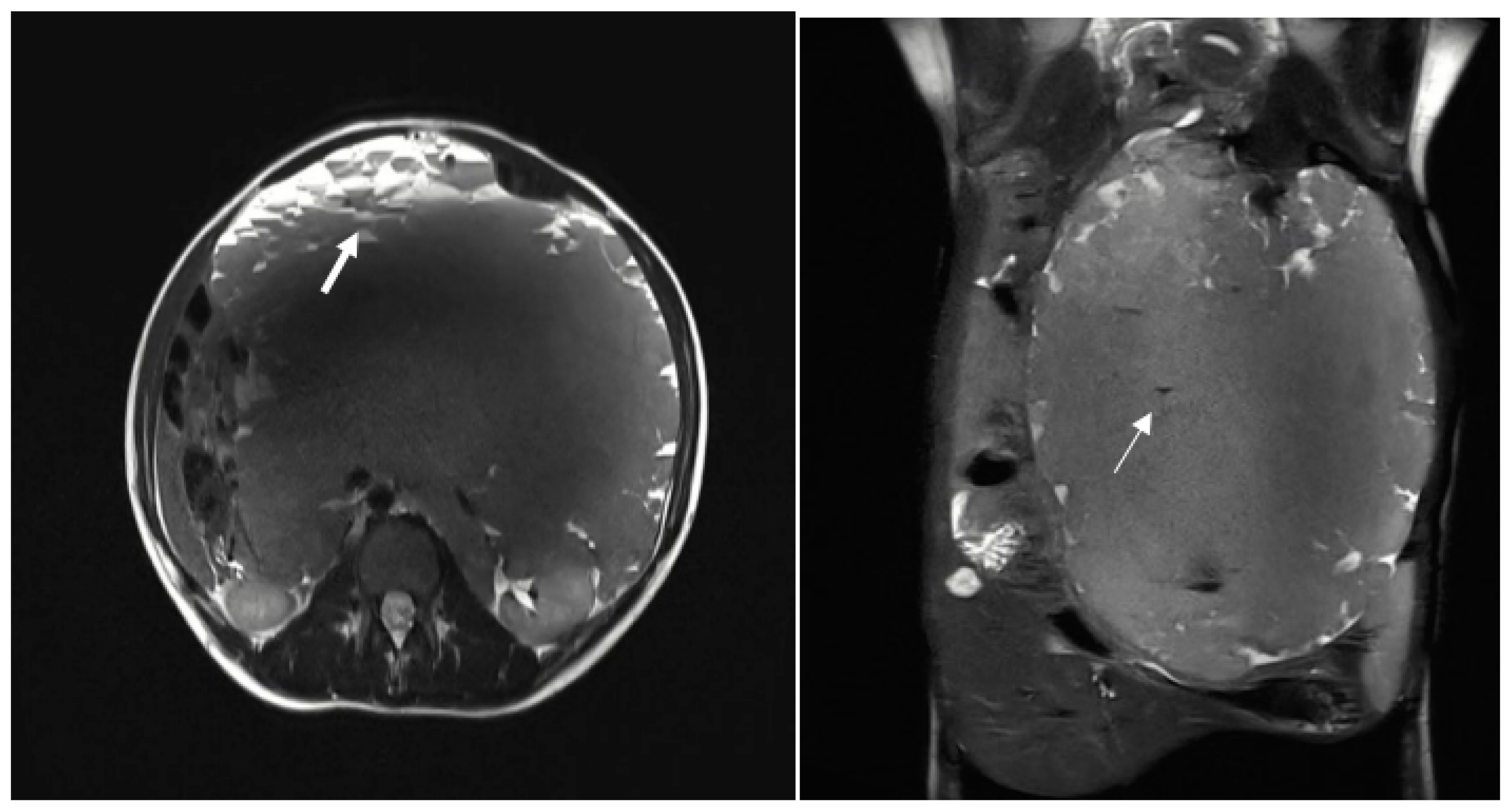 Preprints 169409 g002